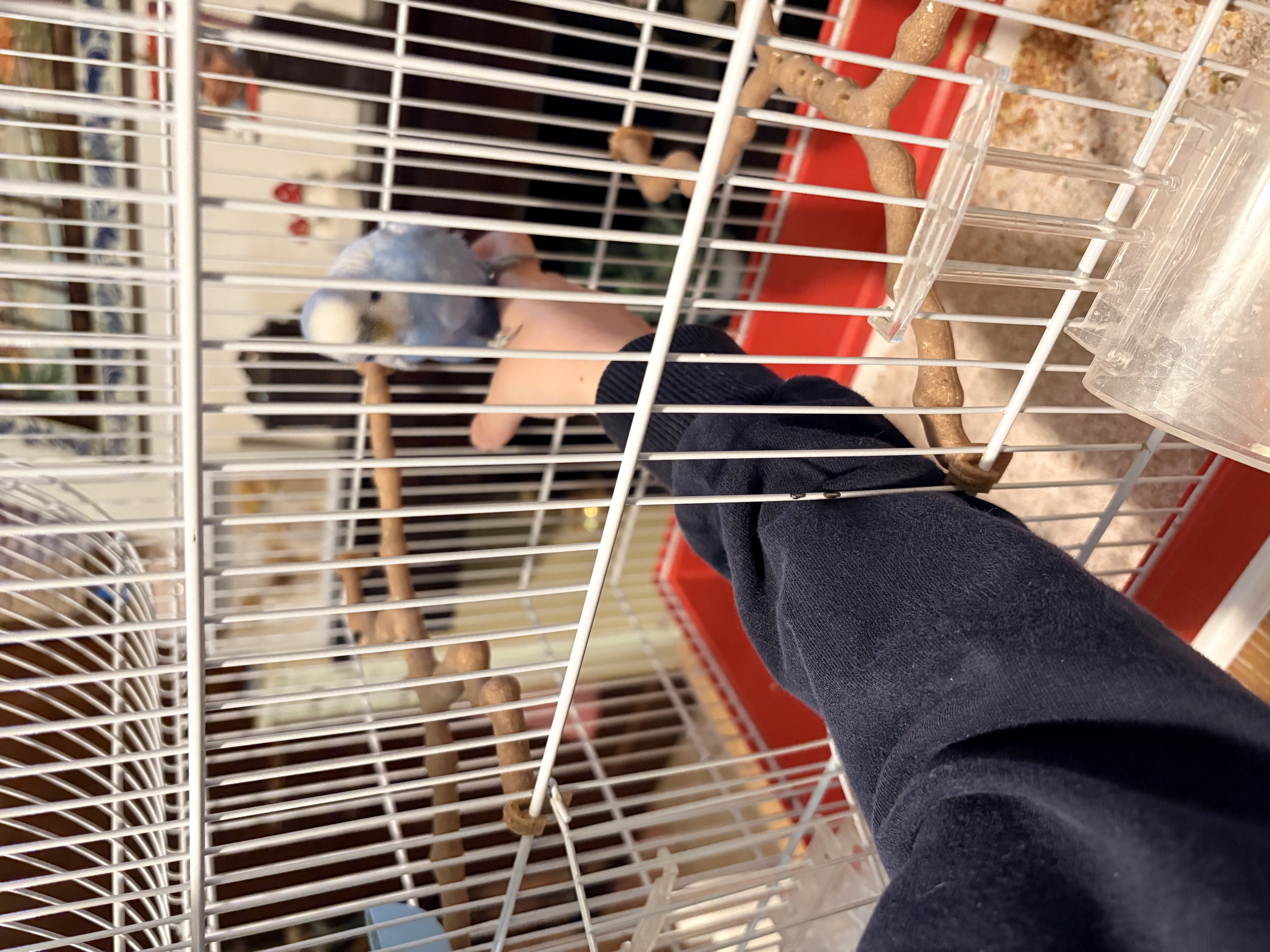 image-10