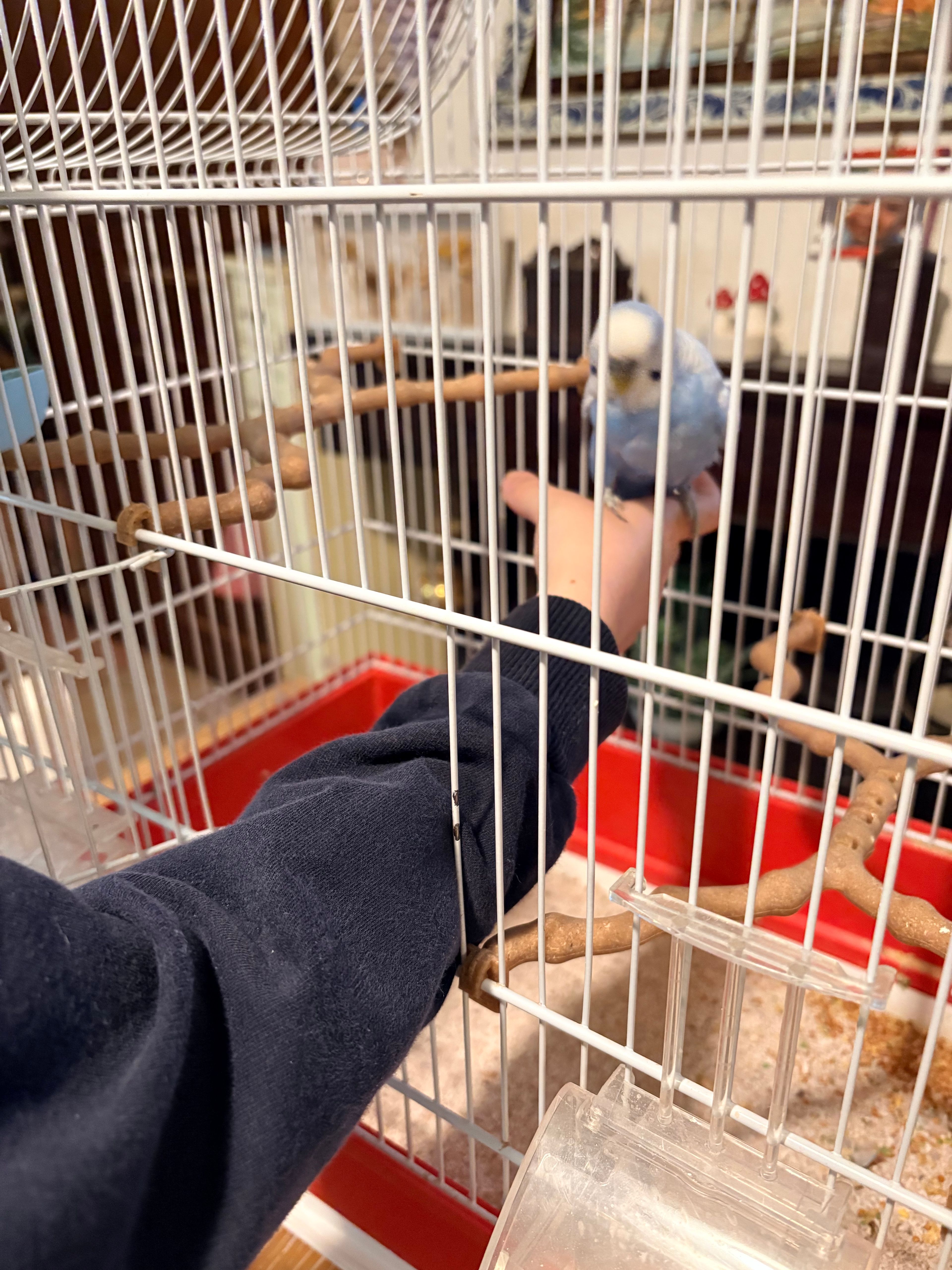 image-10