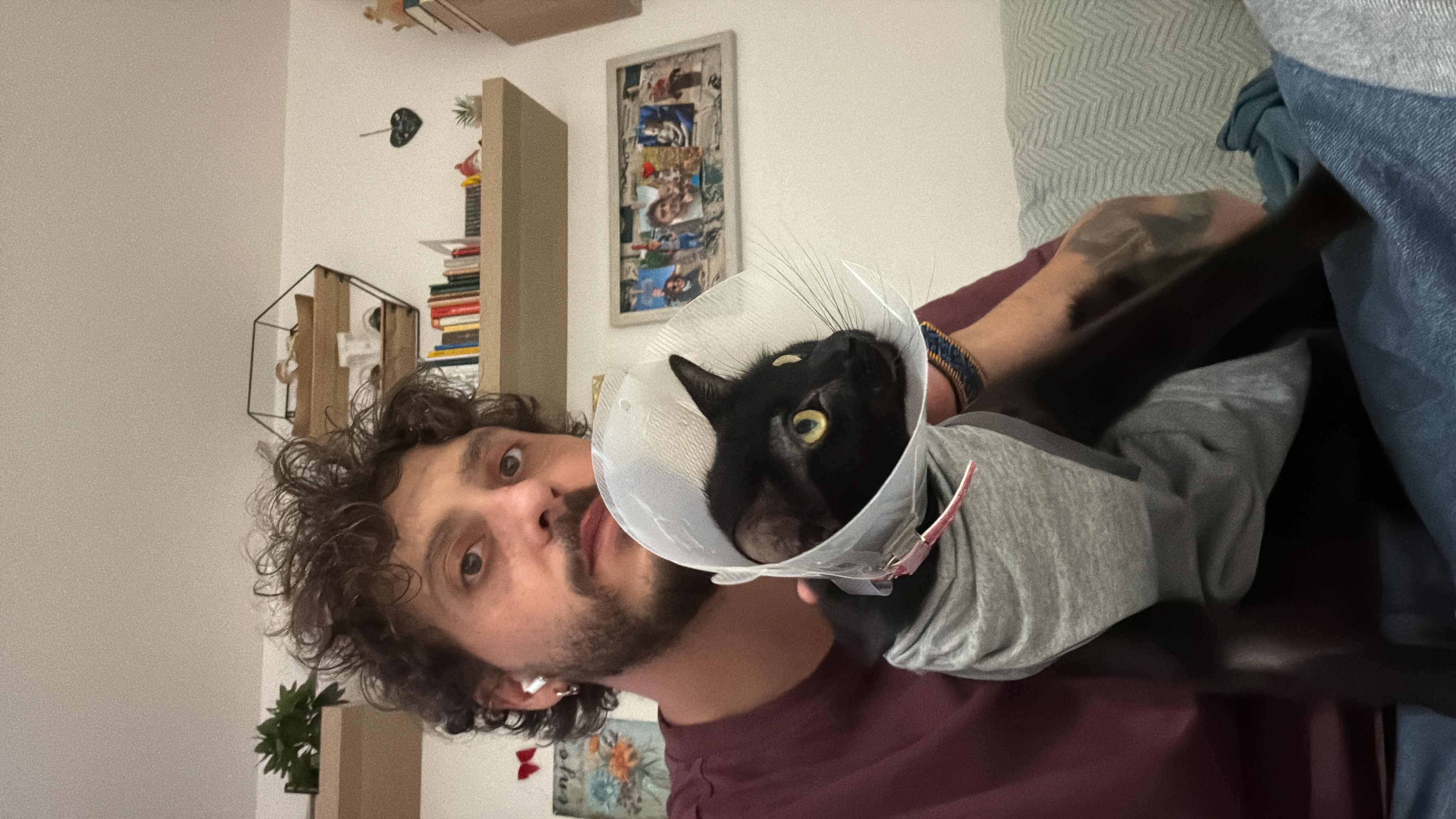 image-7