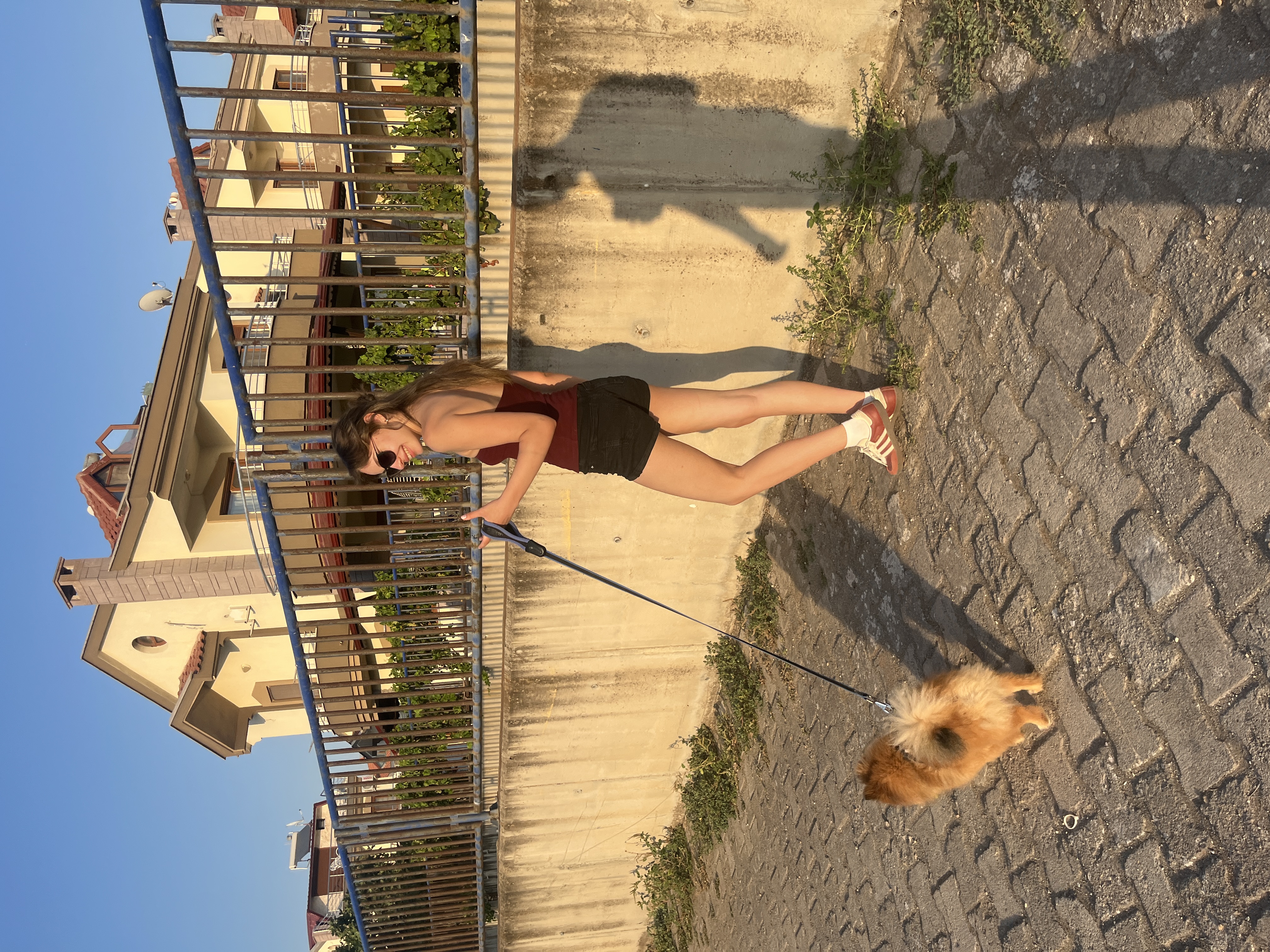 image-6