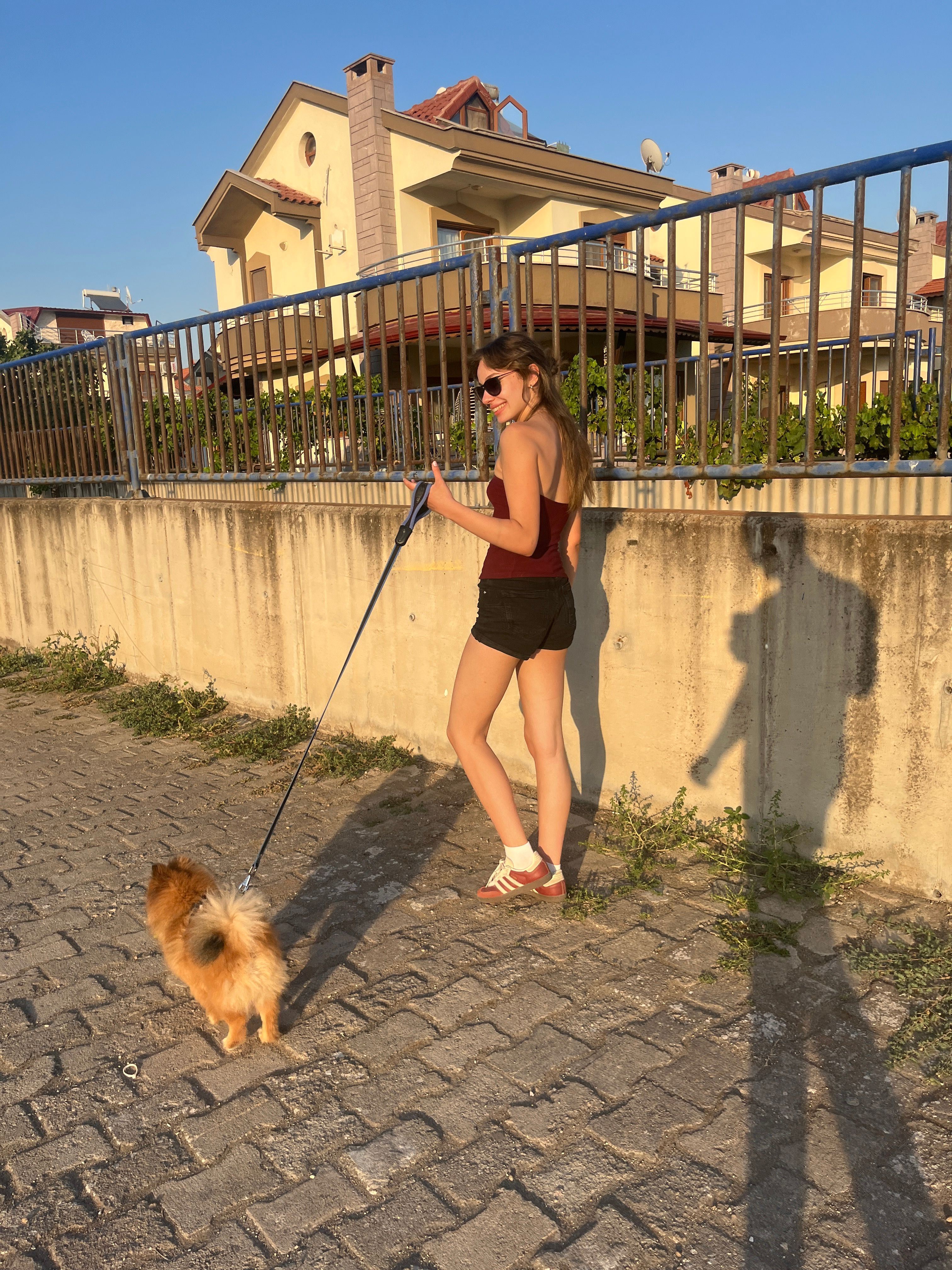 image-6