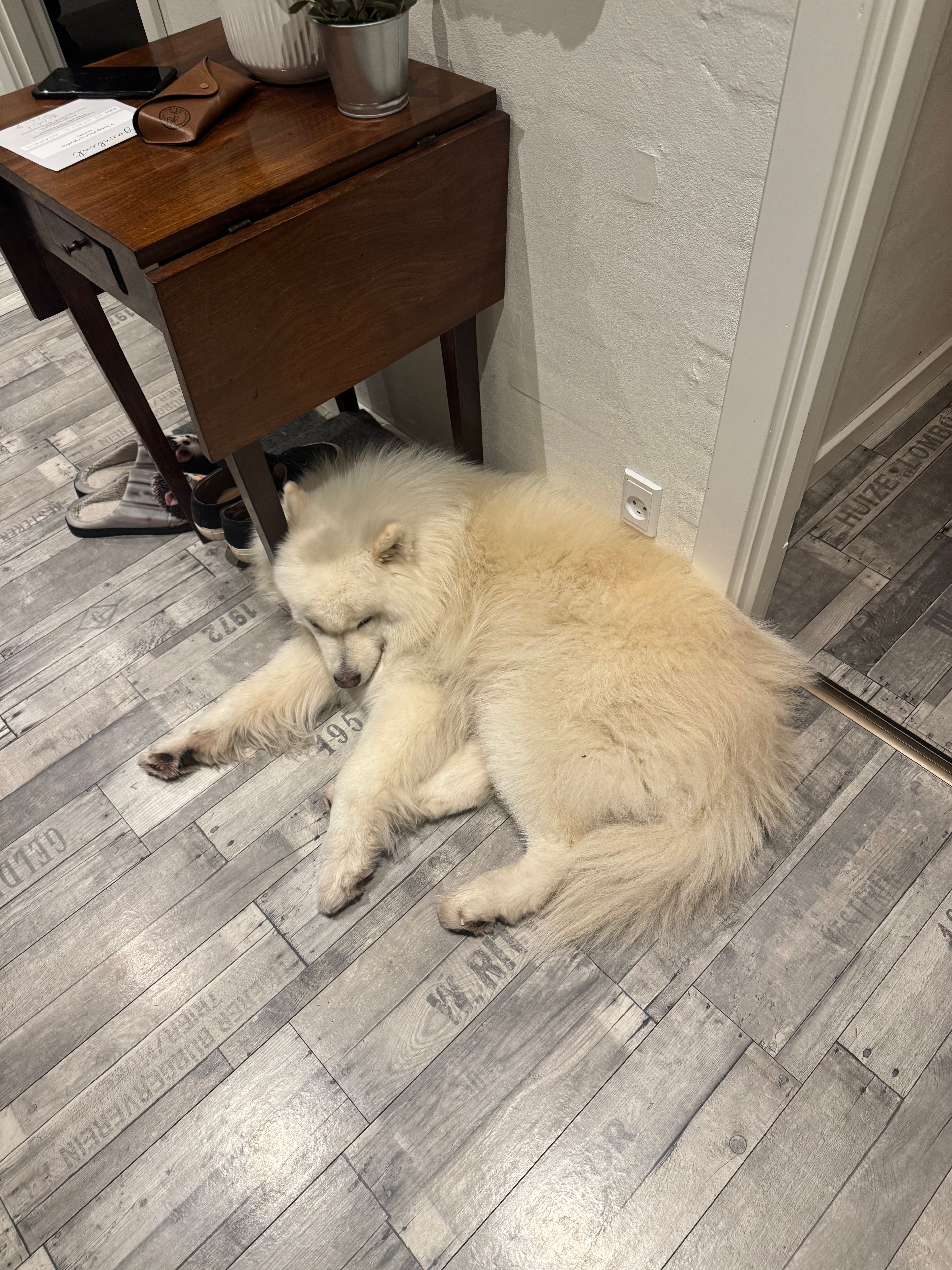 image-18