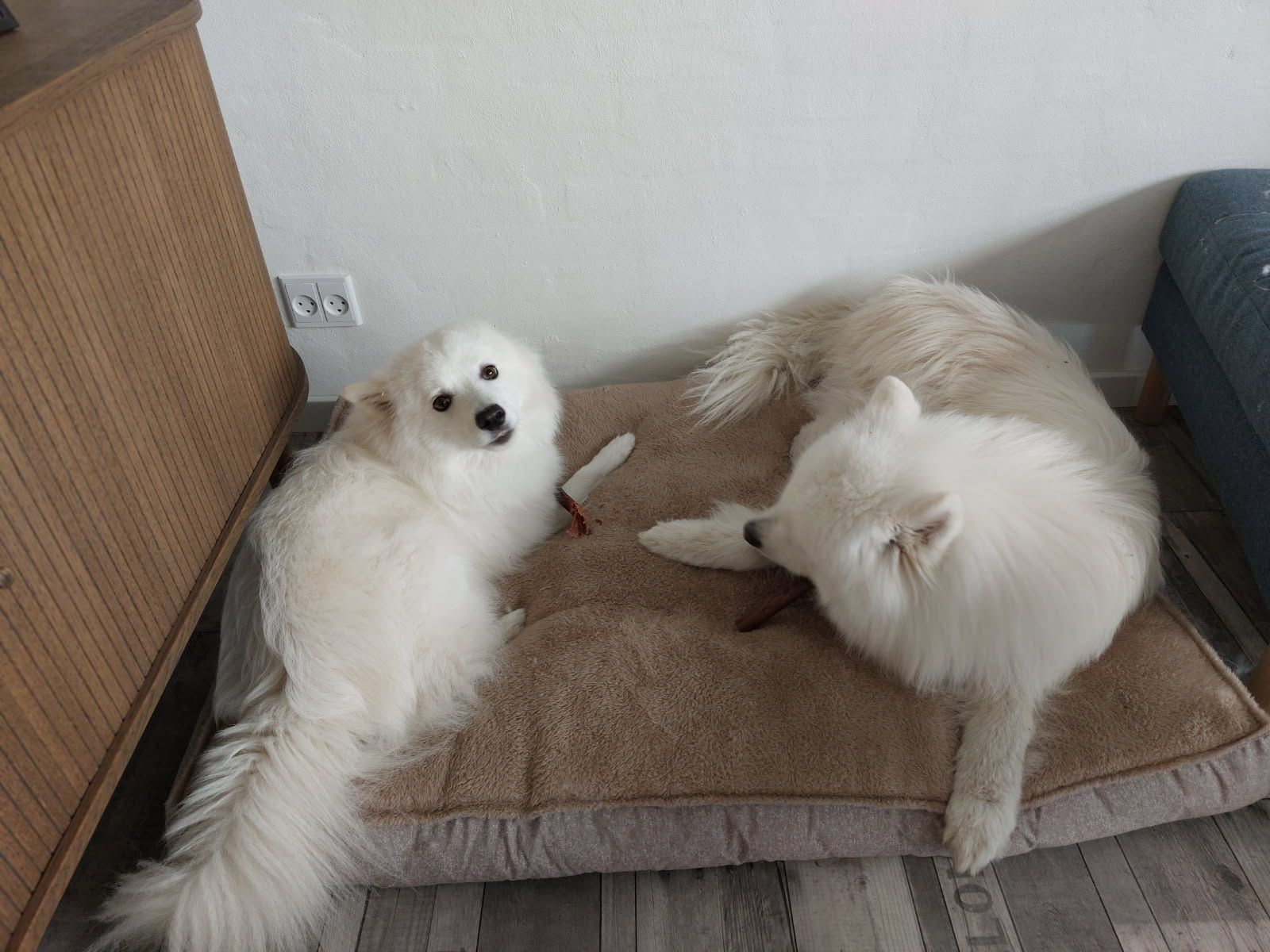 image-20