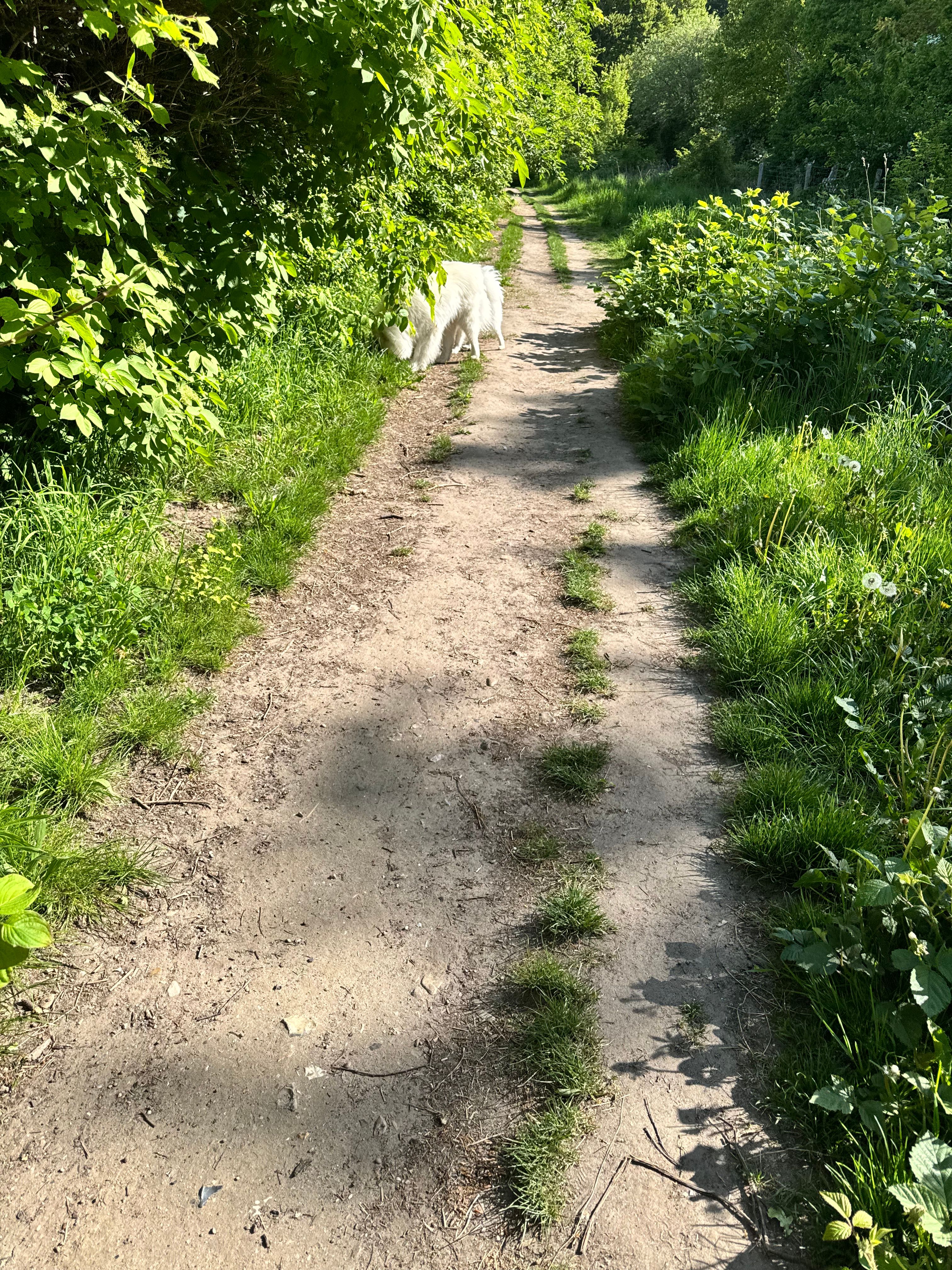 image-14