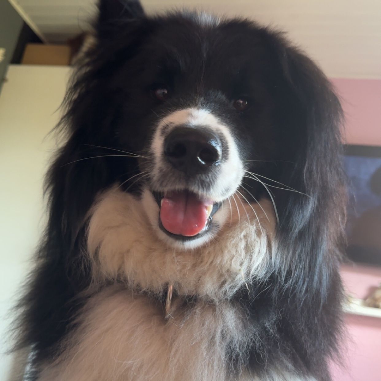 Coda