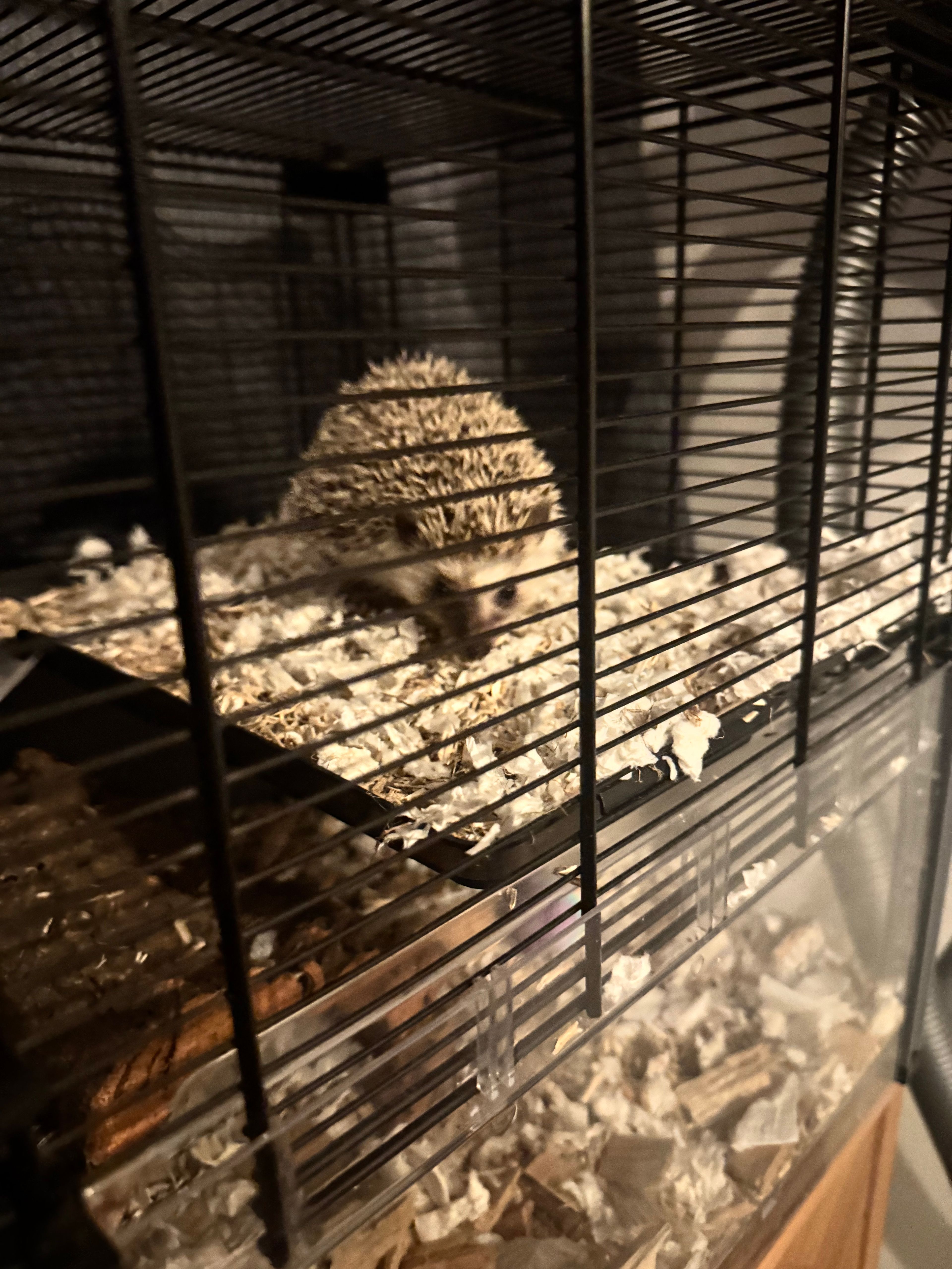 image-9