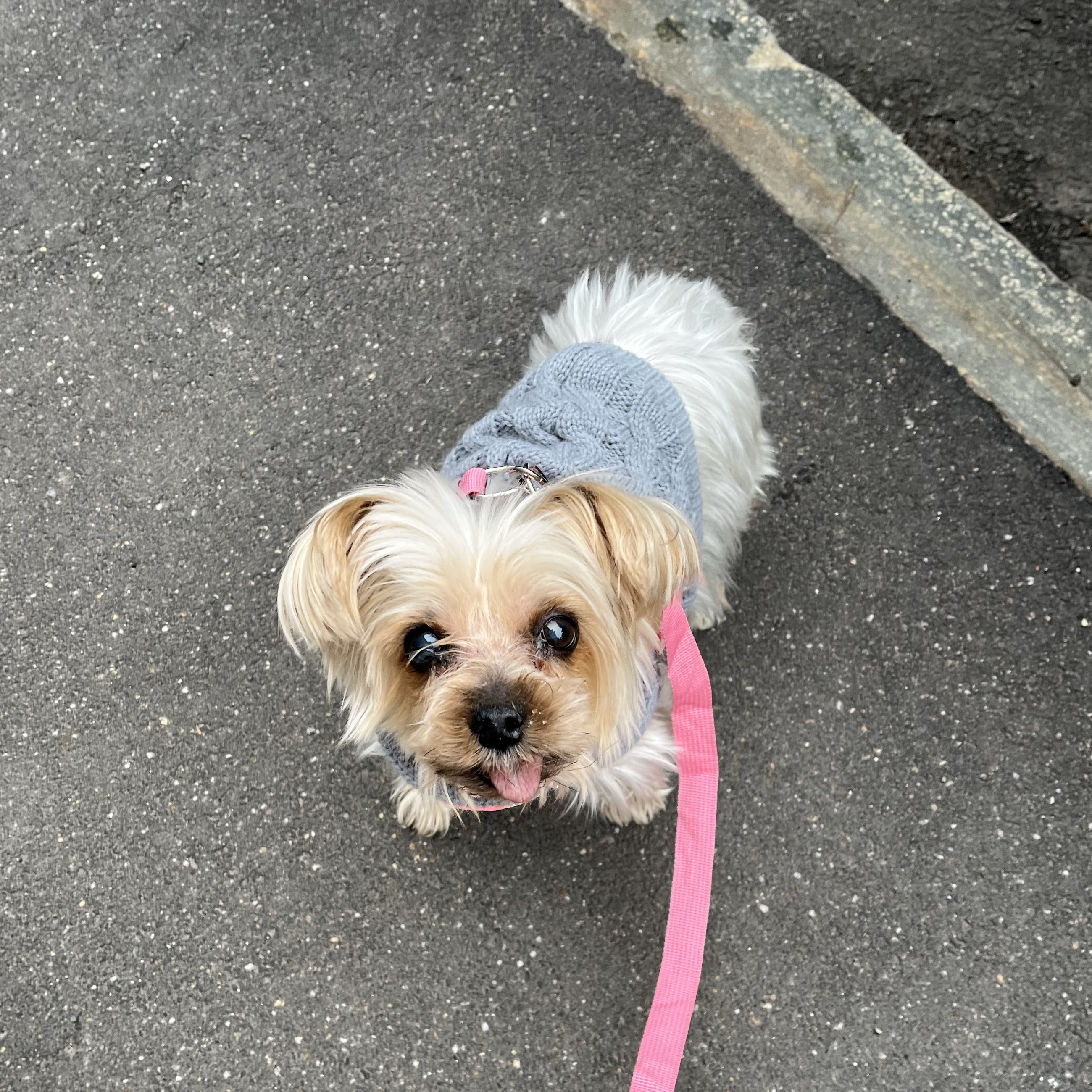 Luna
