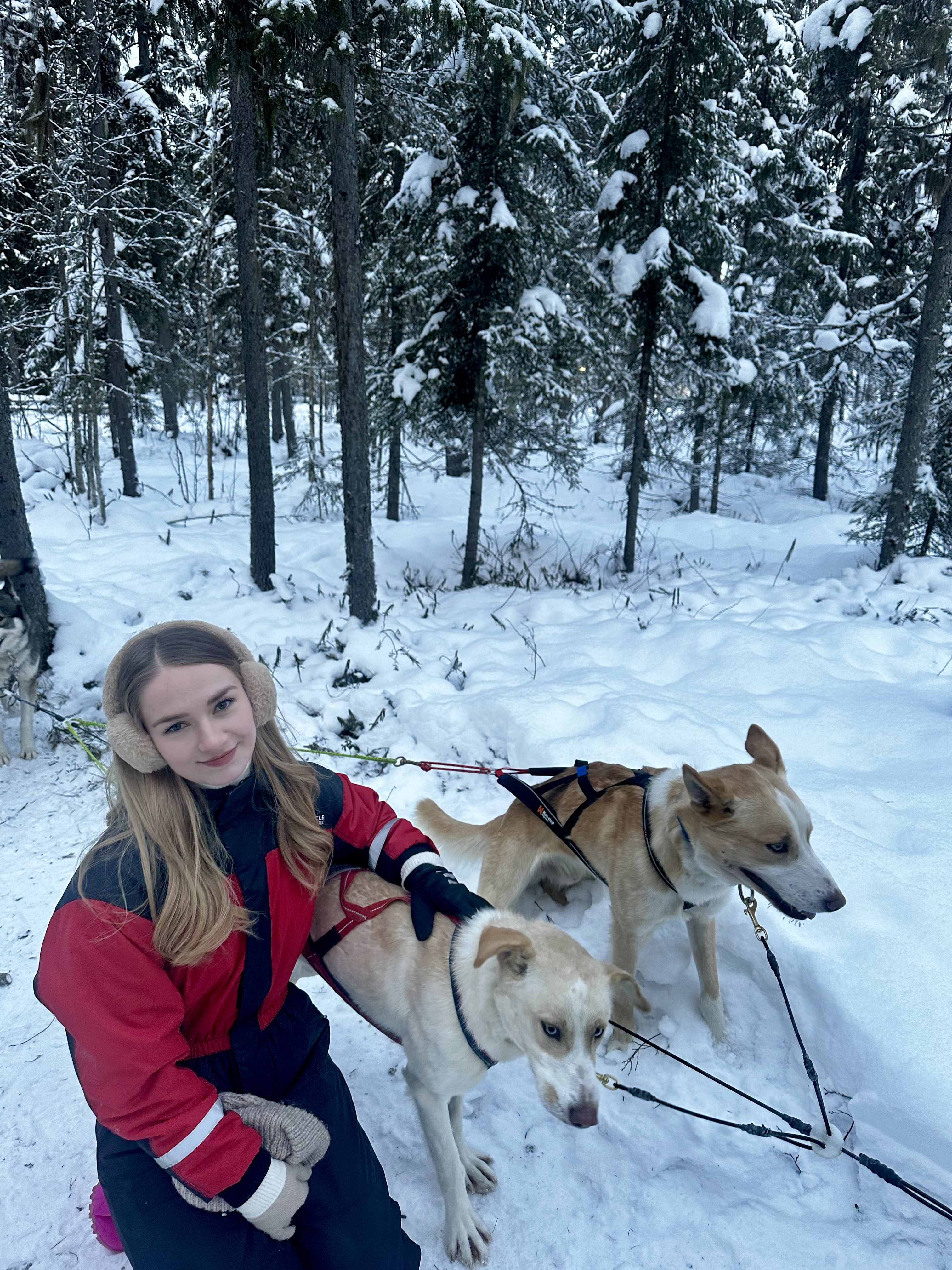 image-5