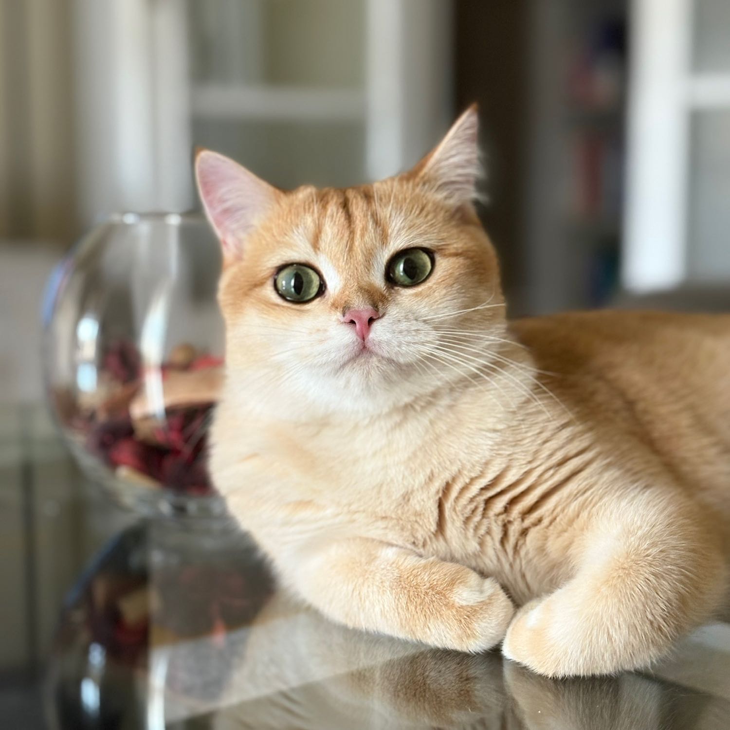 Peanut