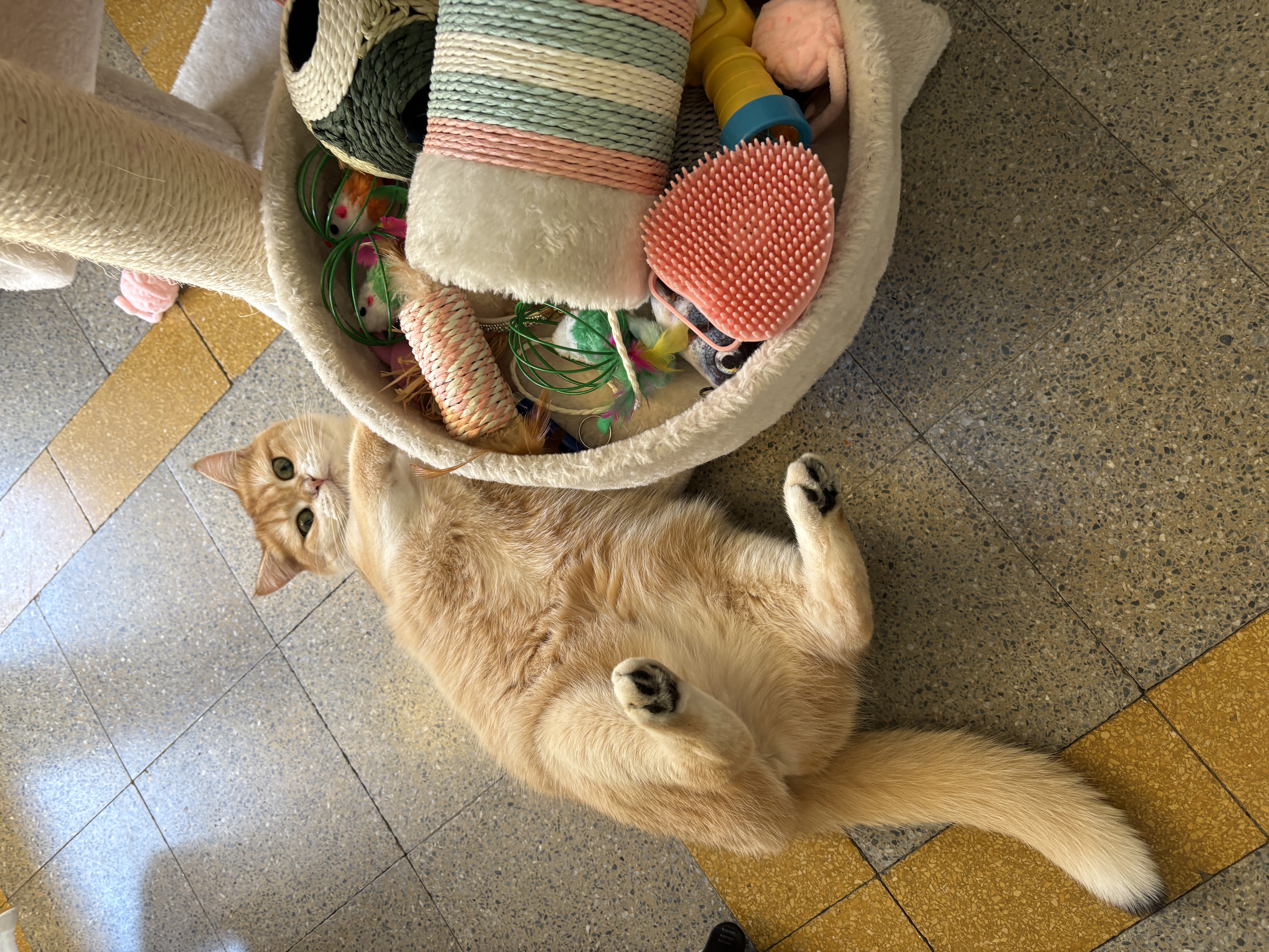image-7