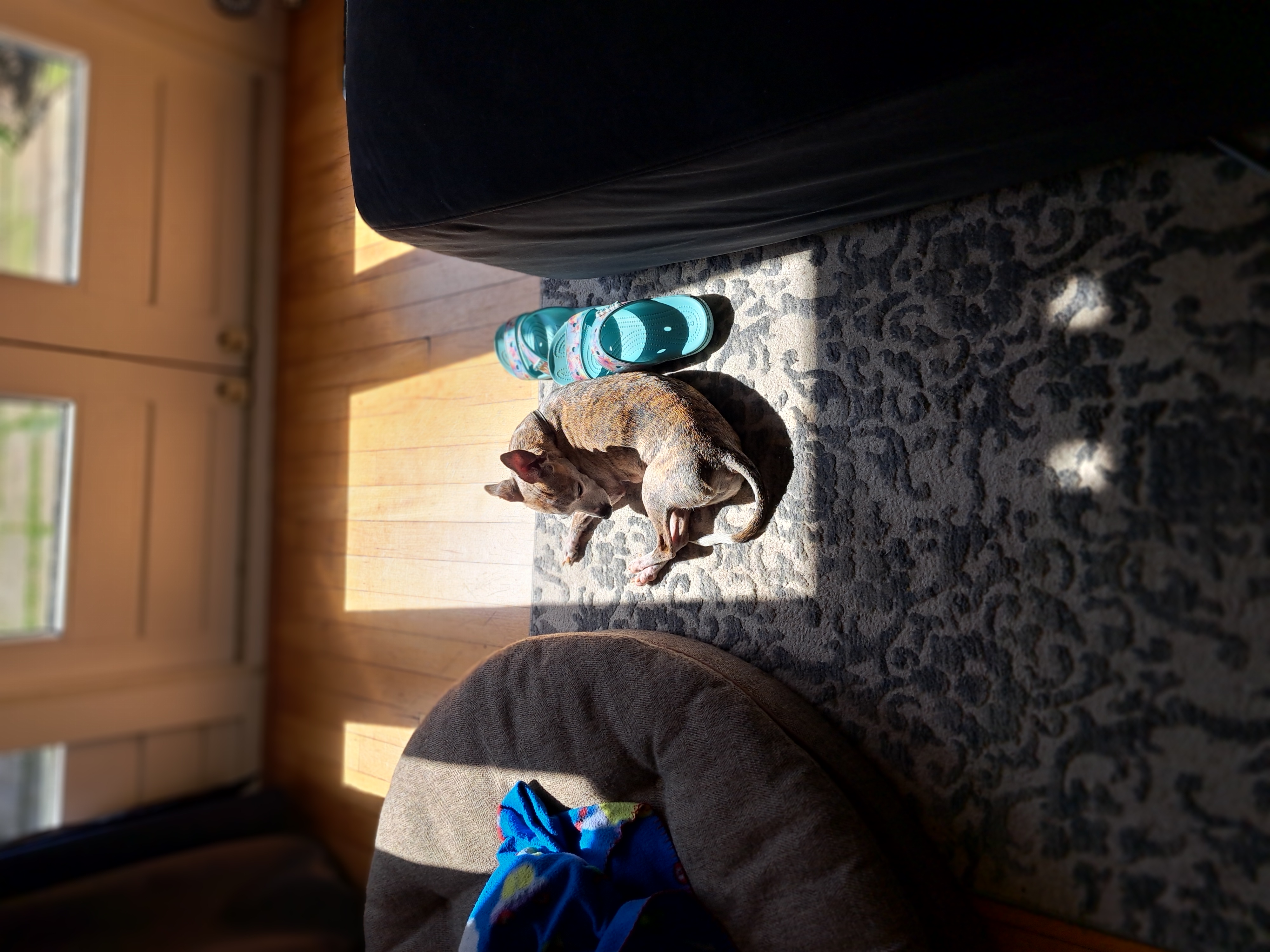 image-8