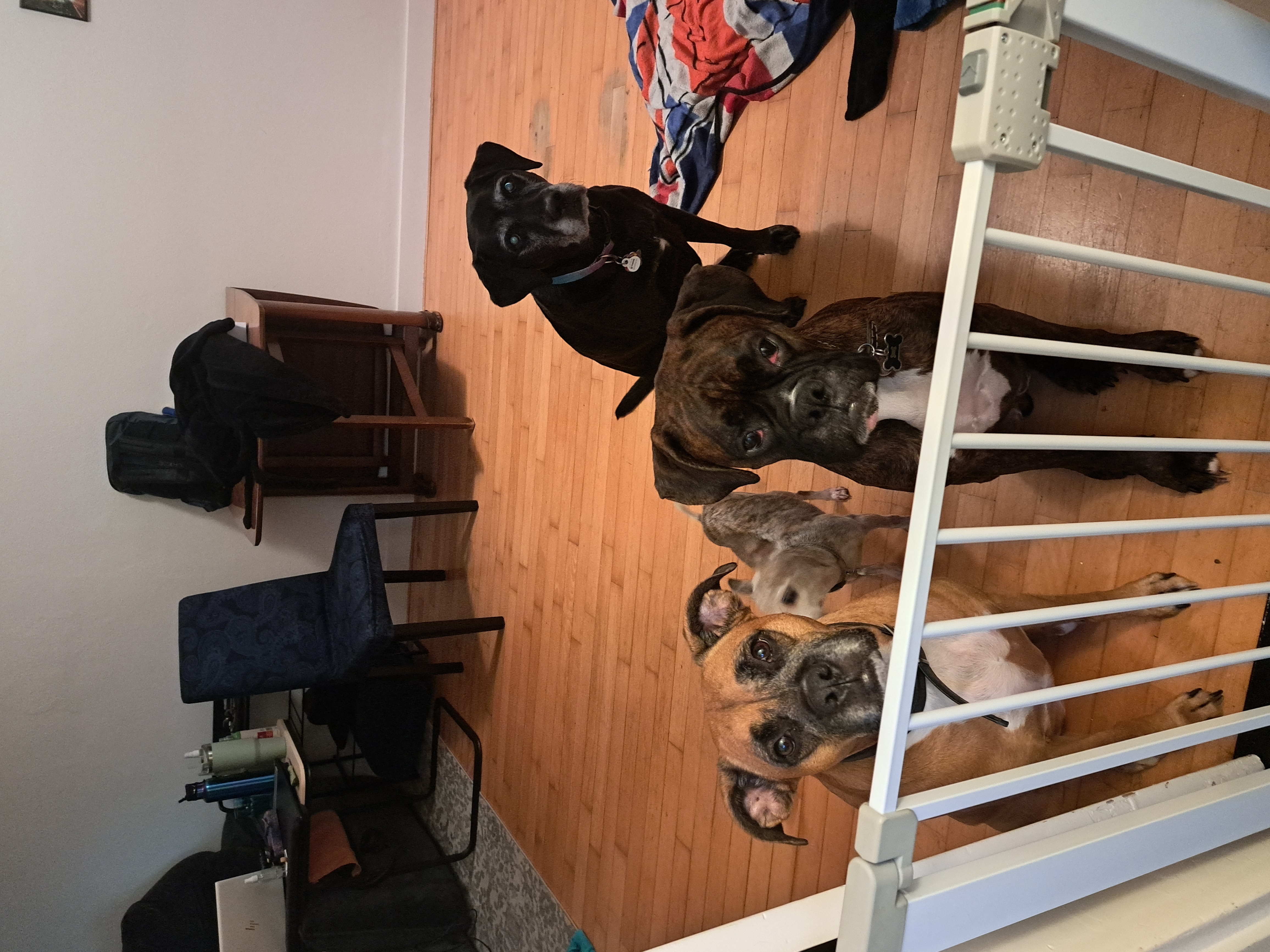 image-19