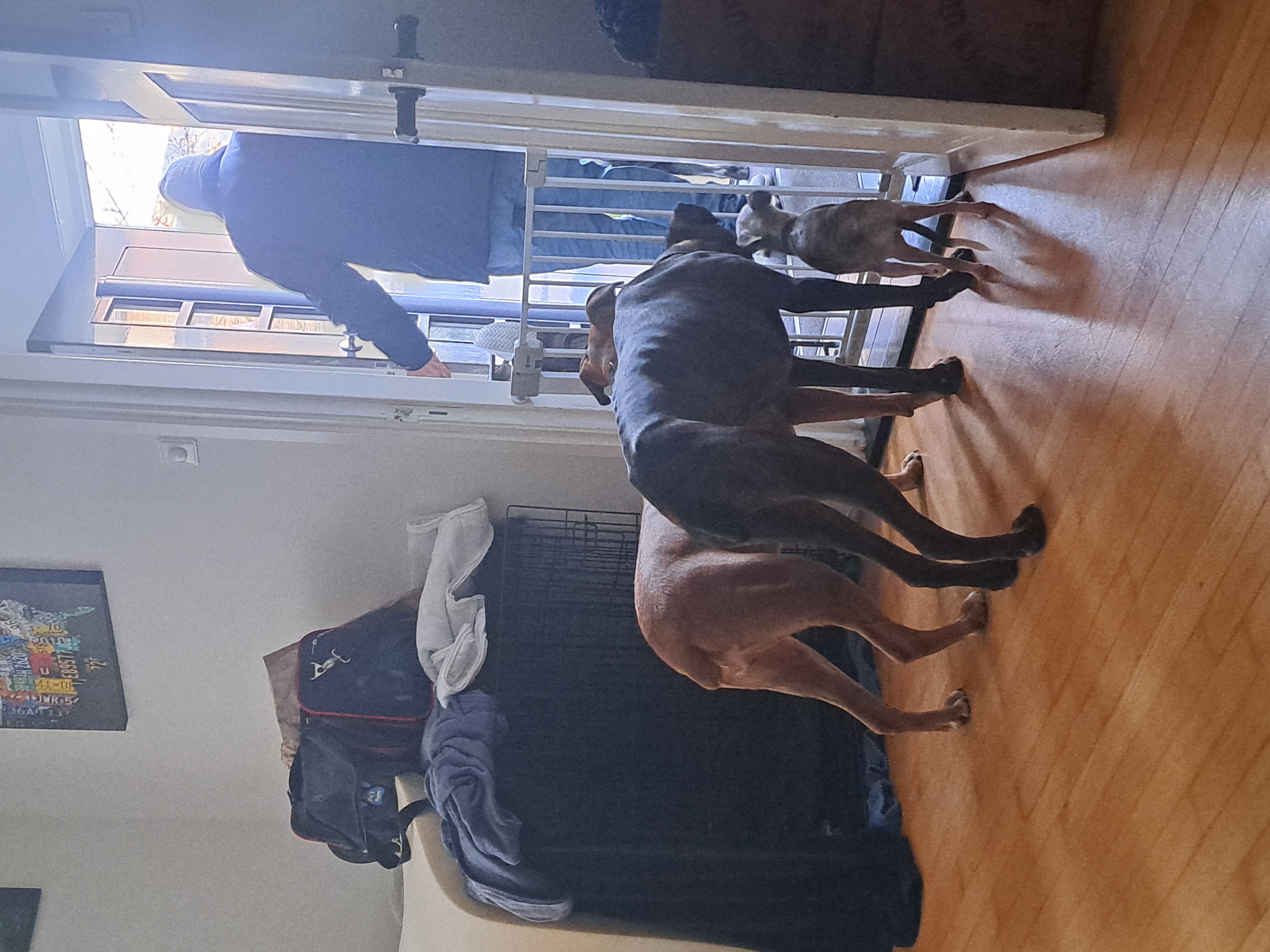 image-18