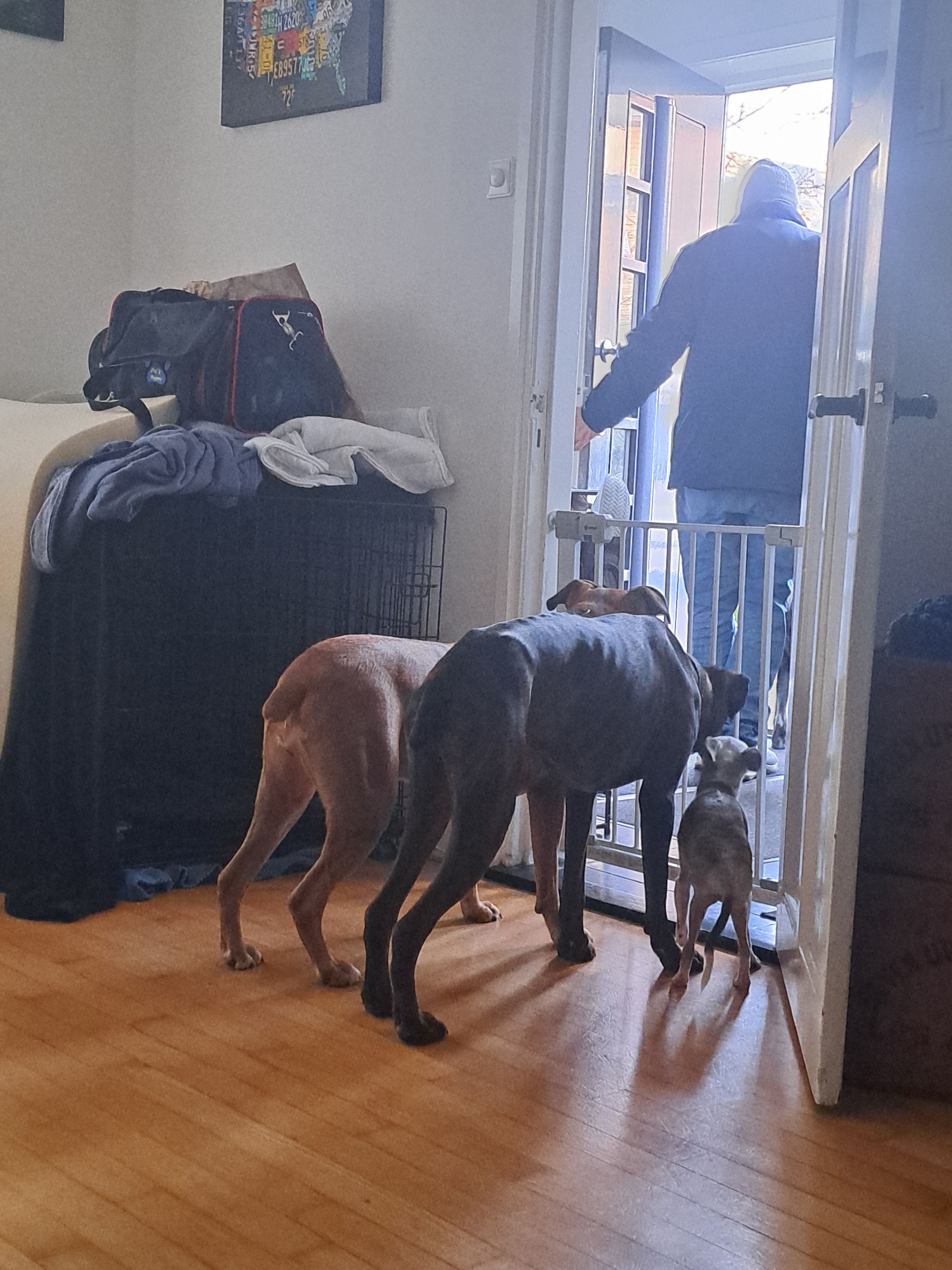 image-18