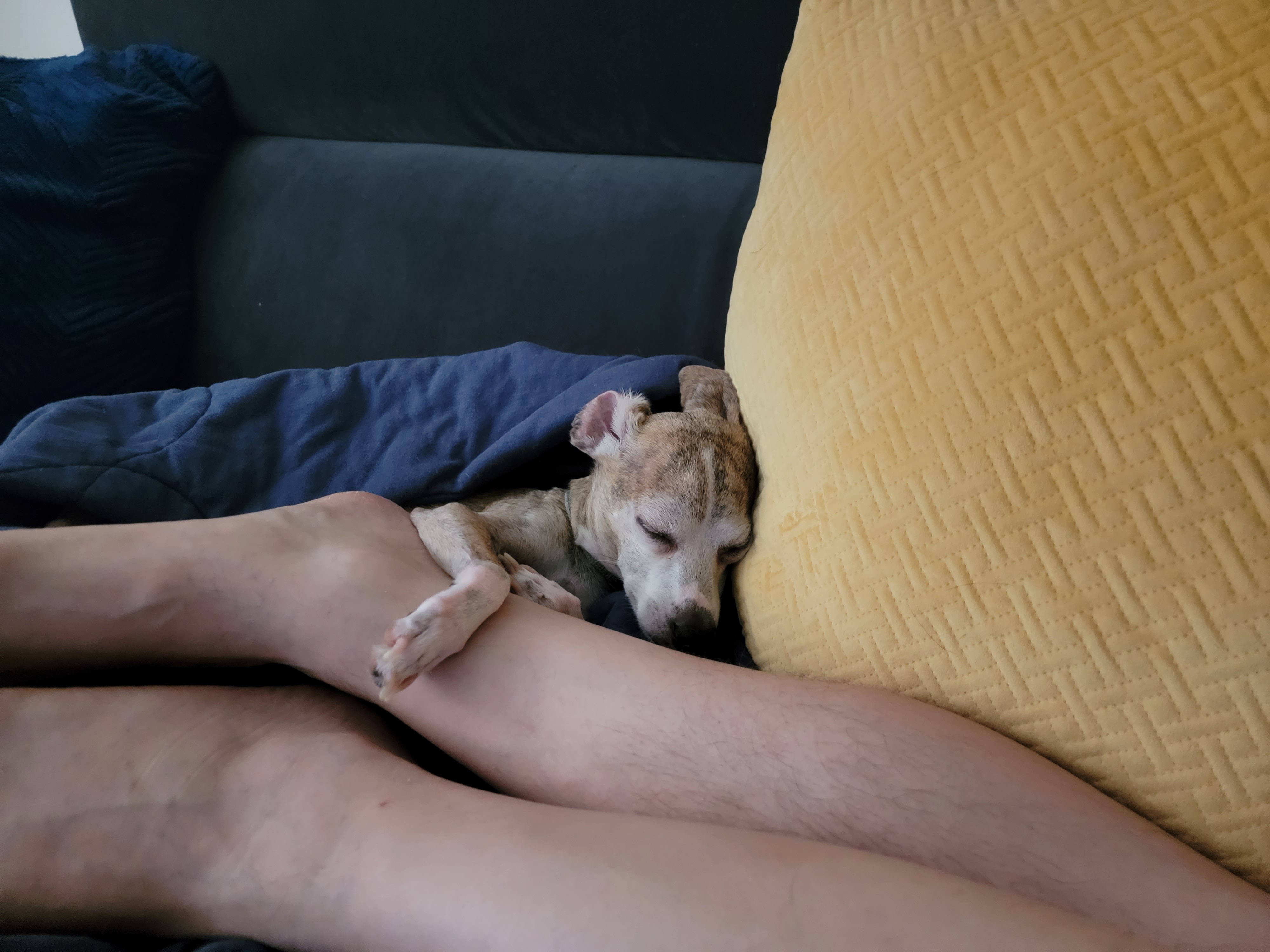 image-7