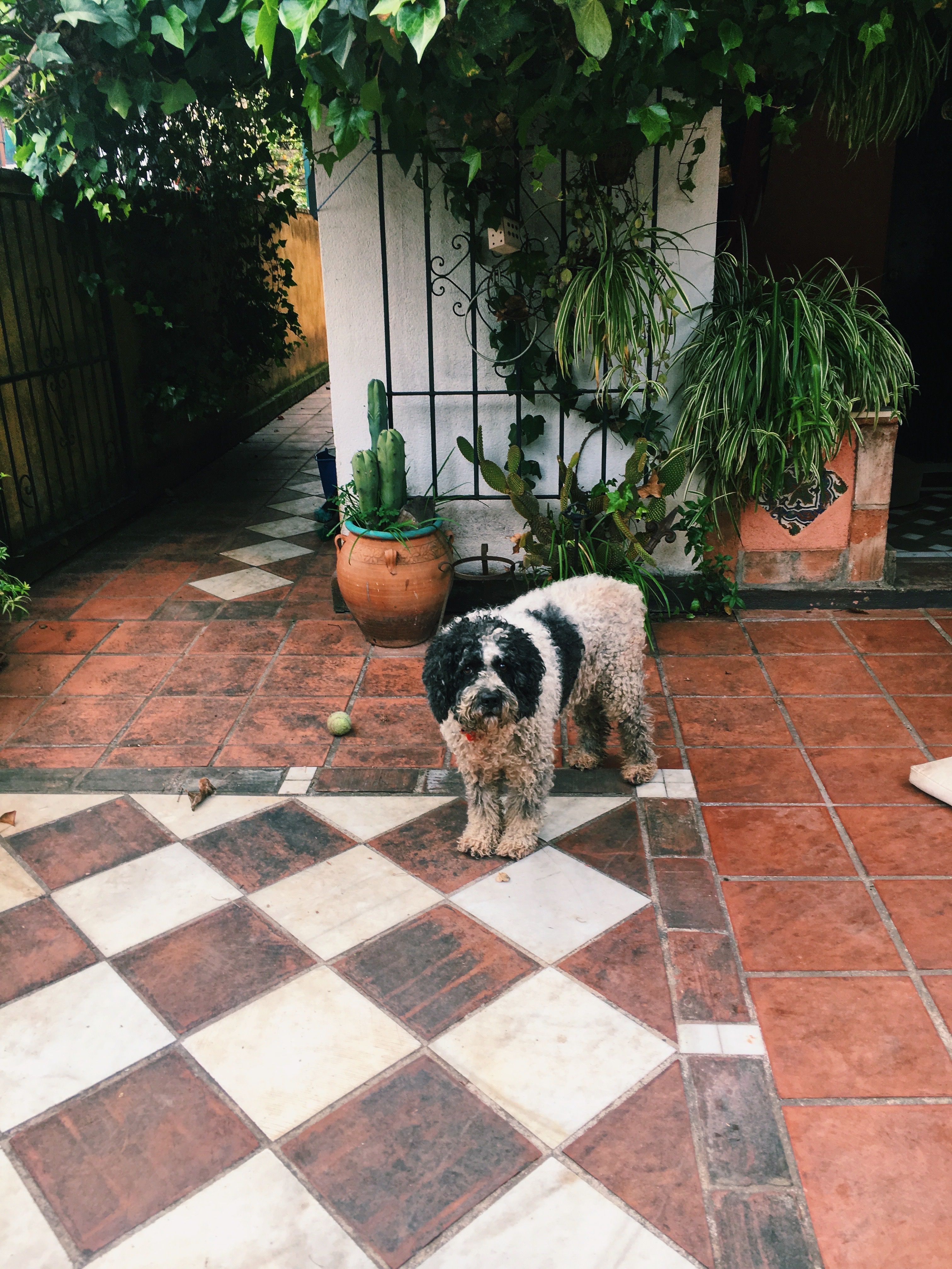 image-14