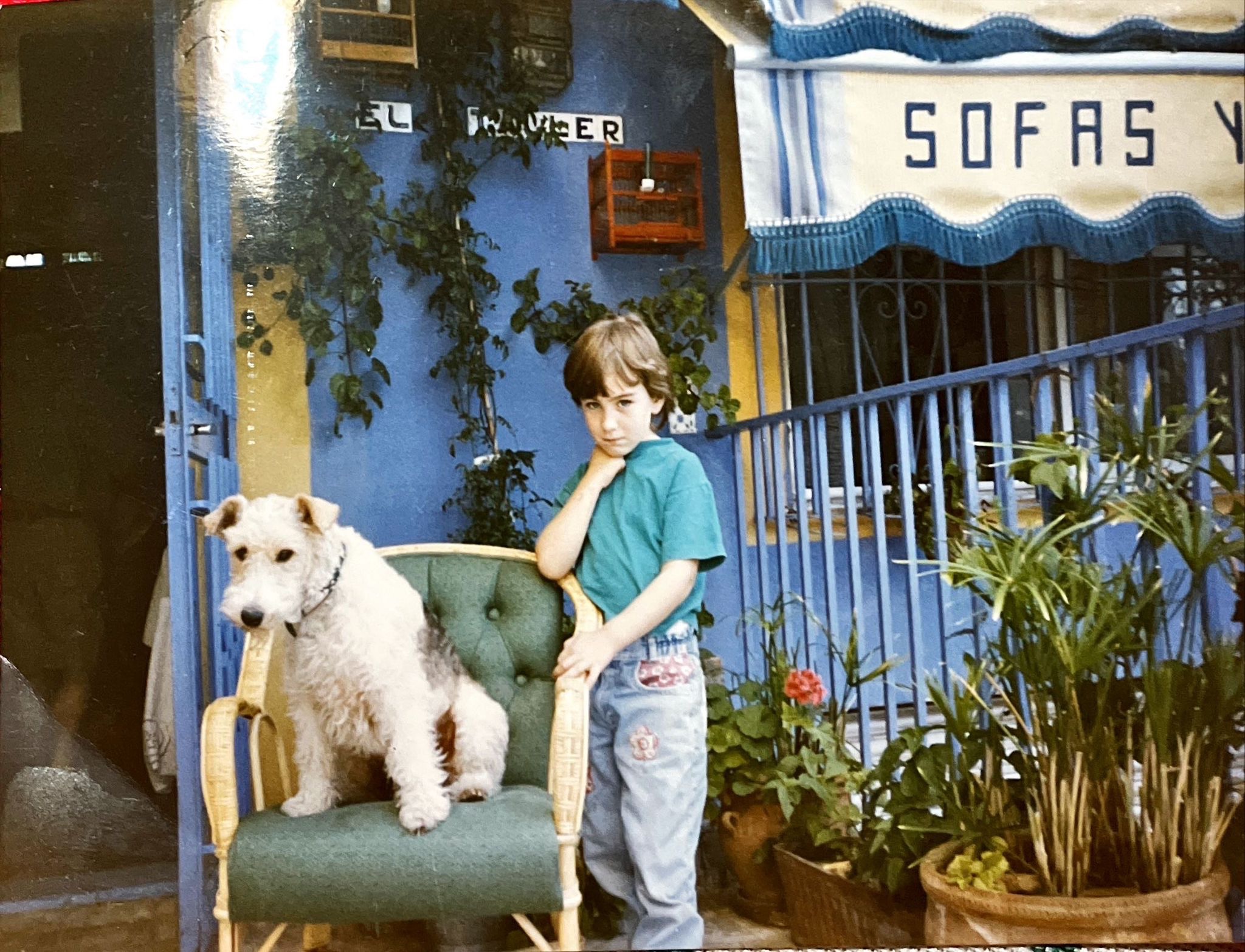image-6