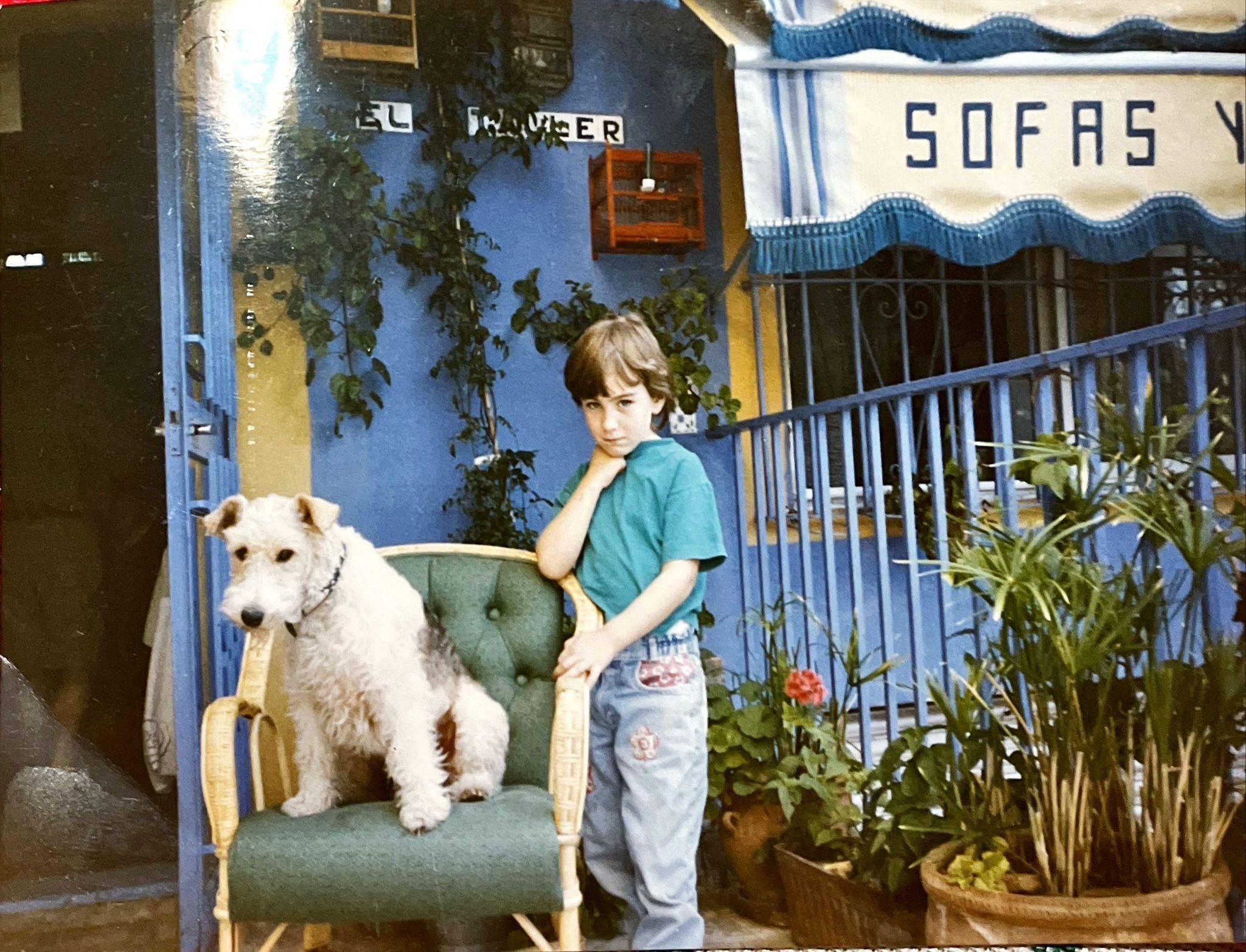 image-6