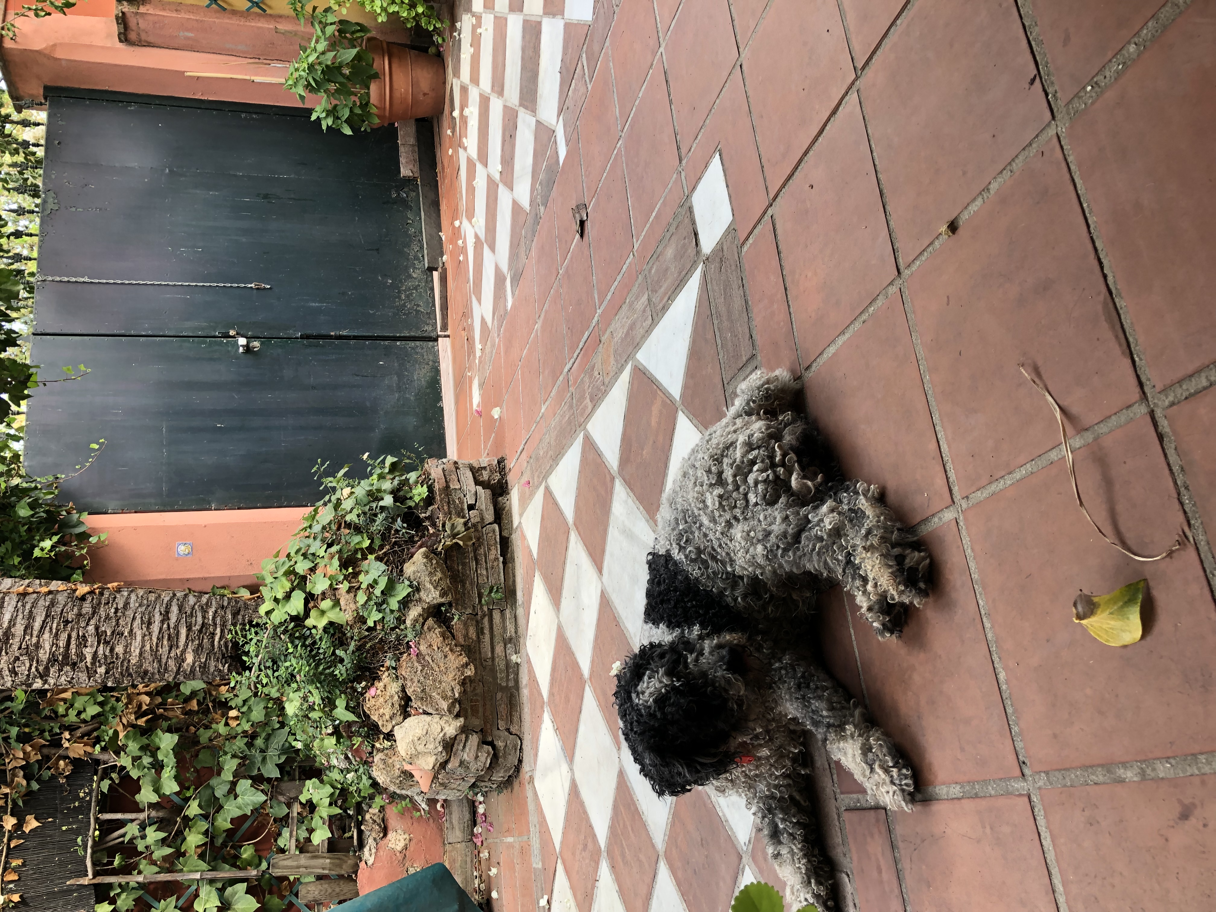 image-11