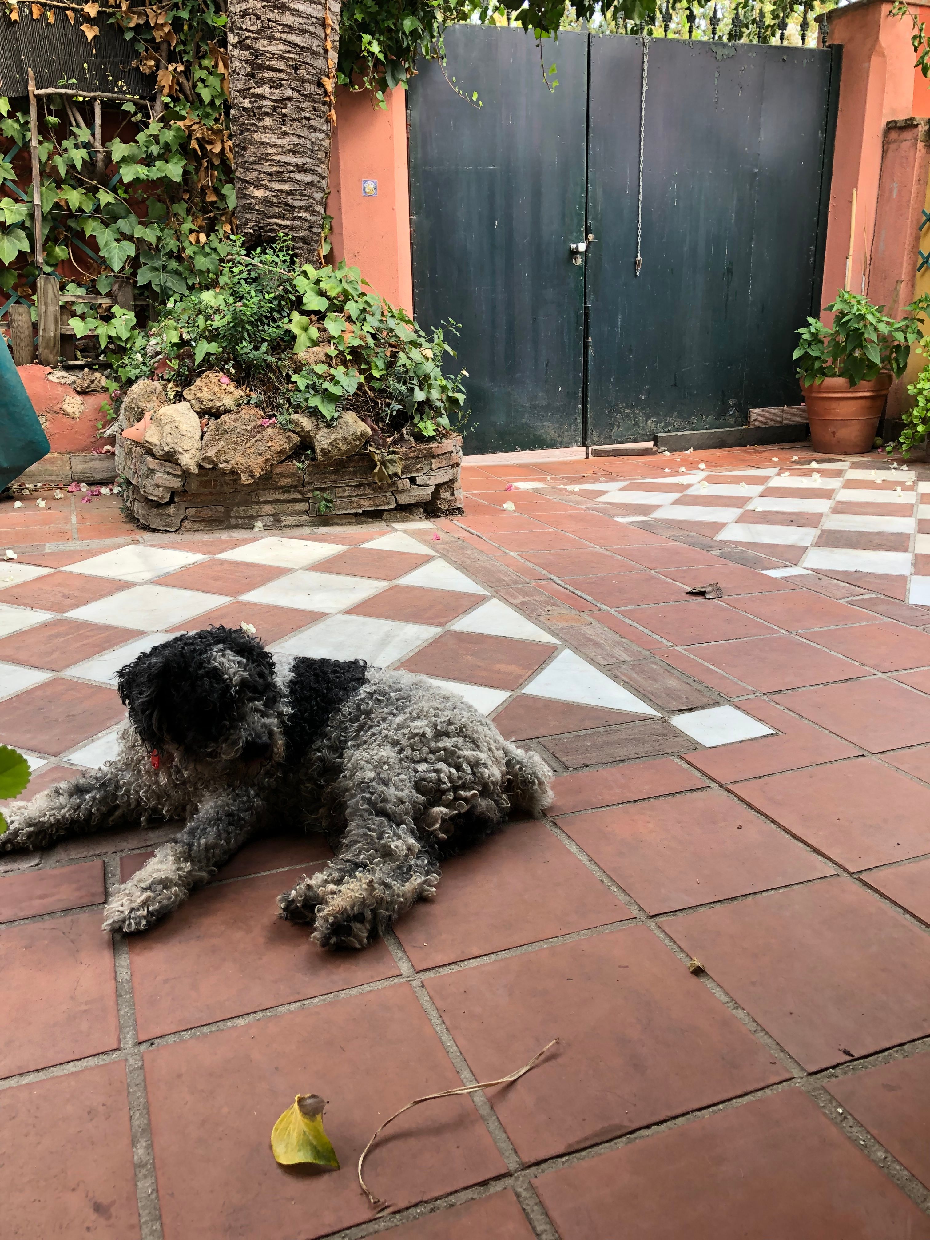 image-11