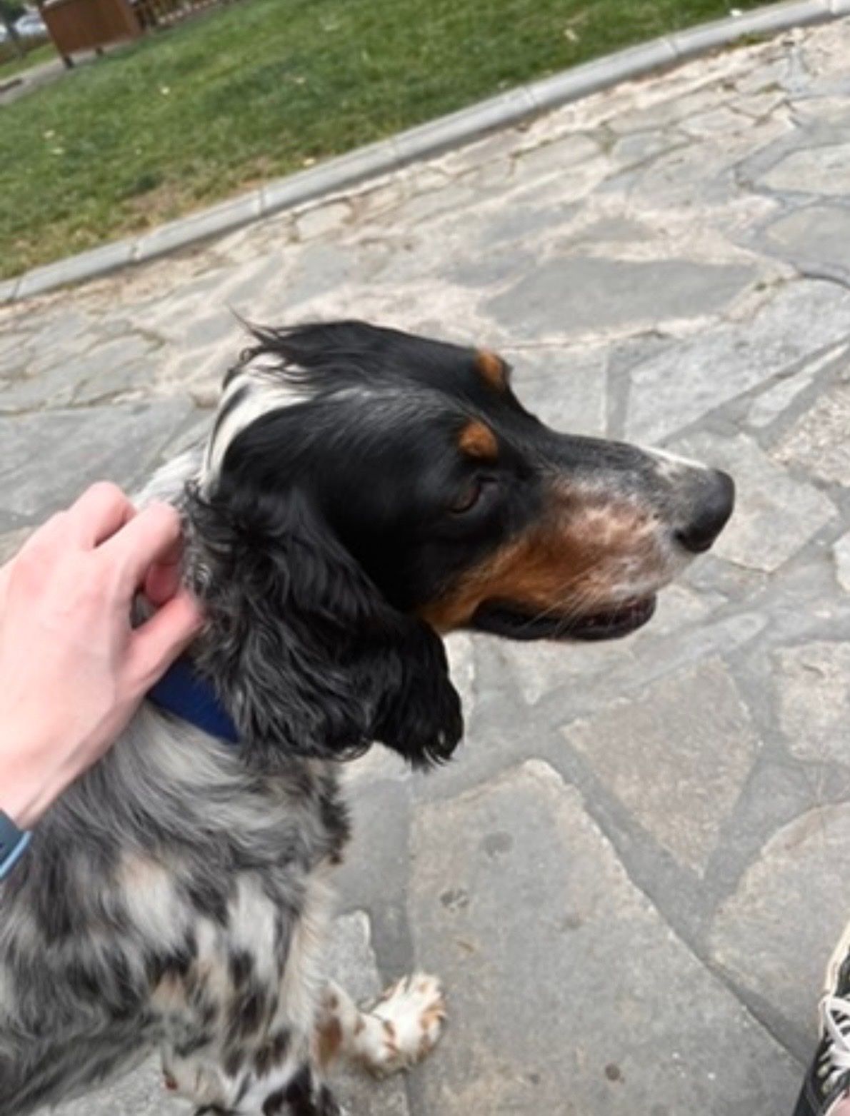 image-7