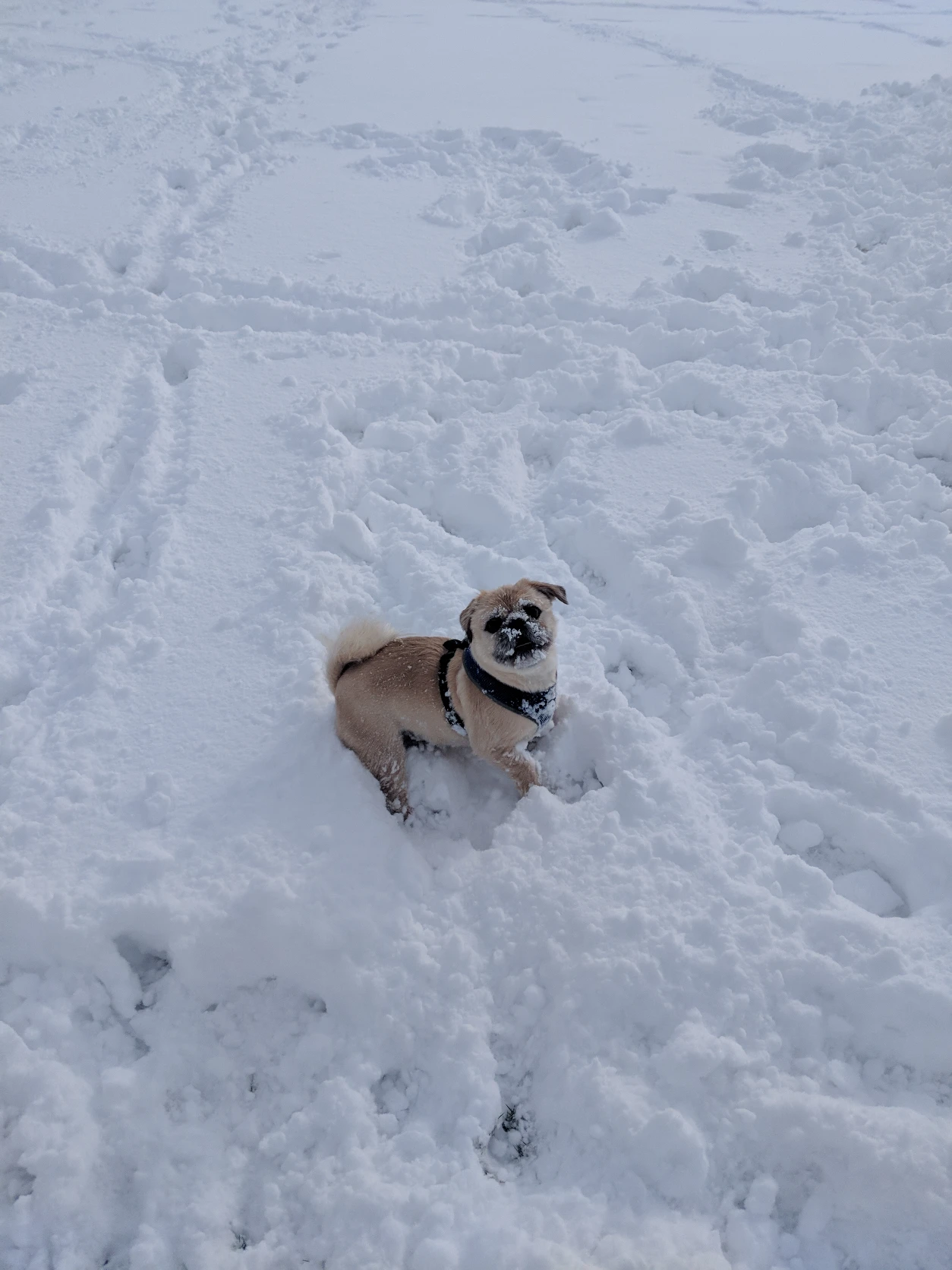 image-8