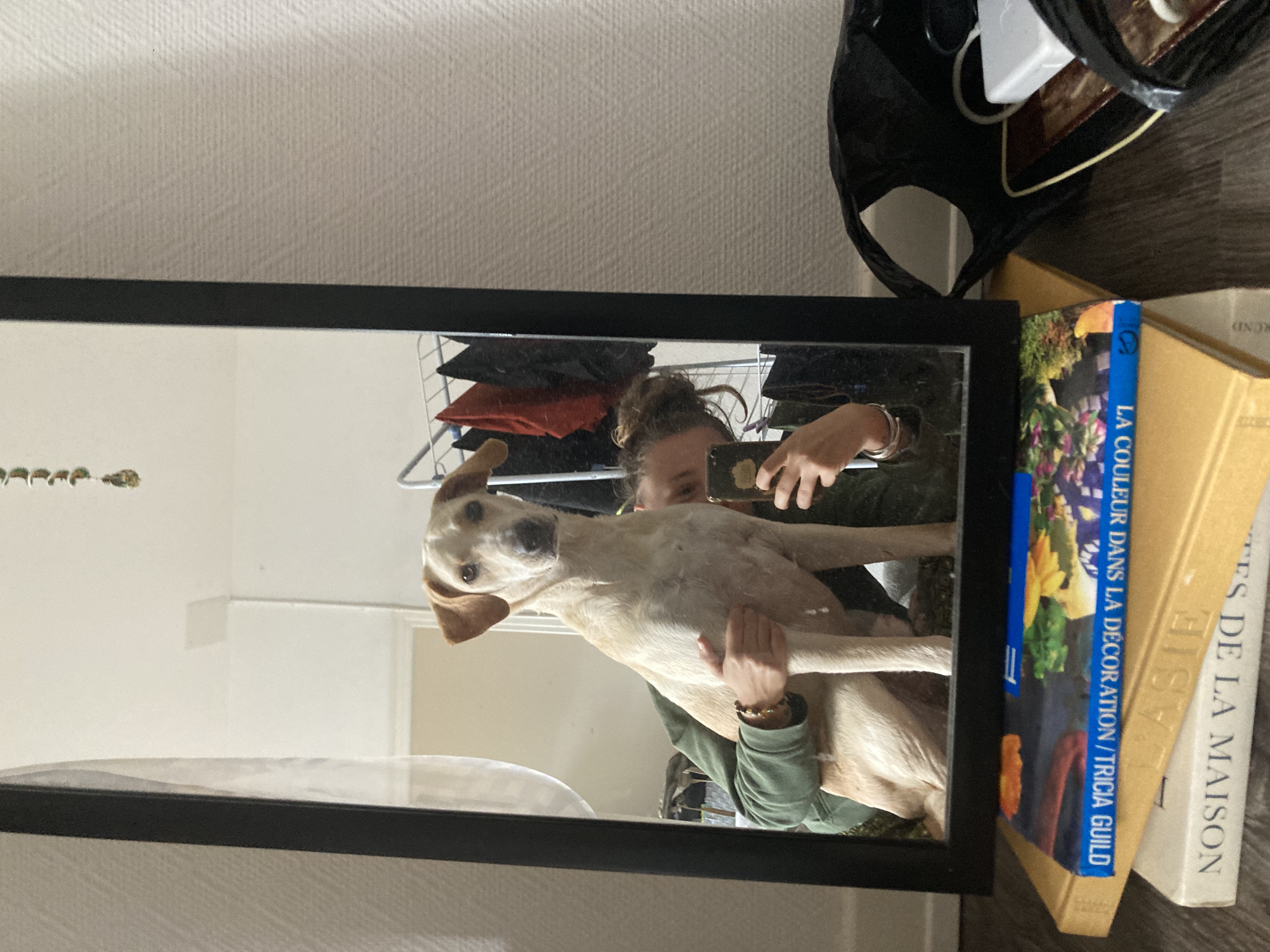 image-9