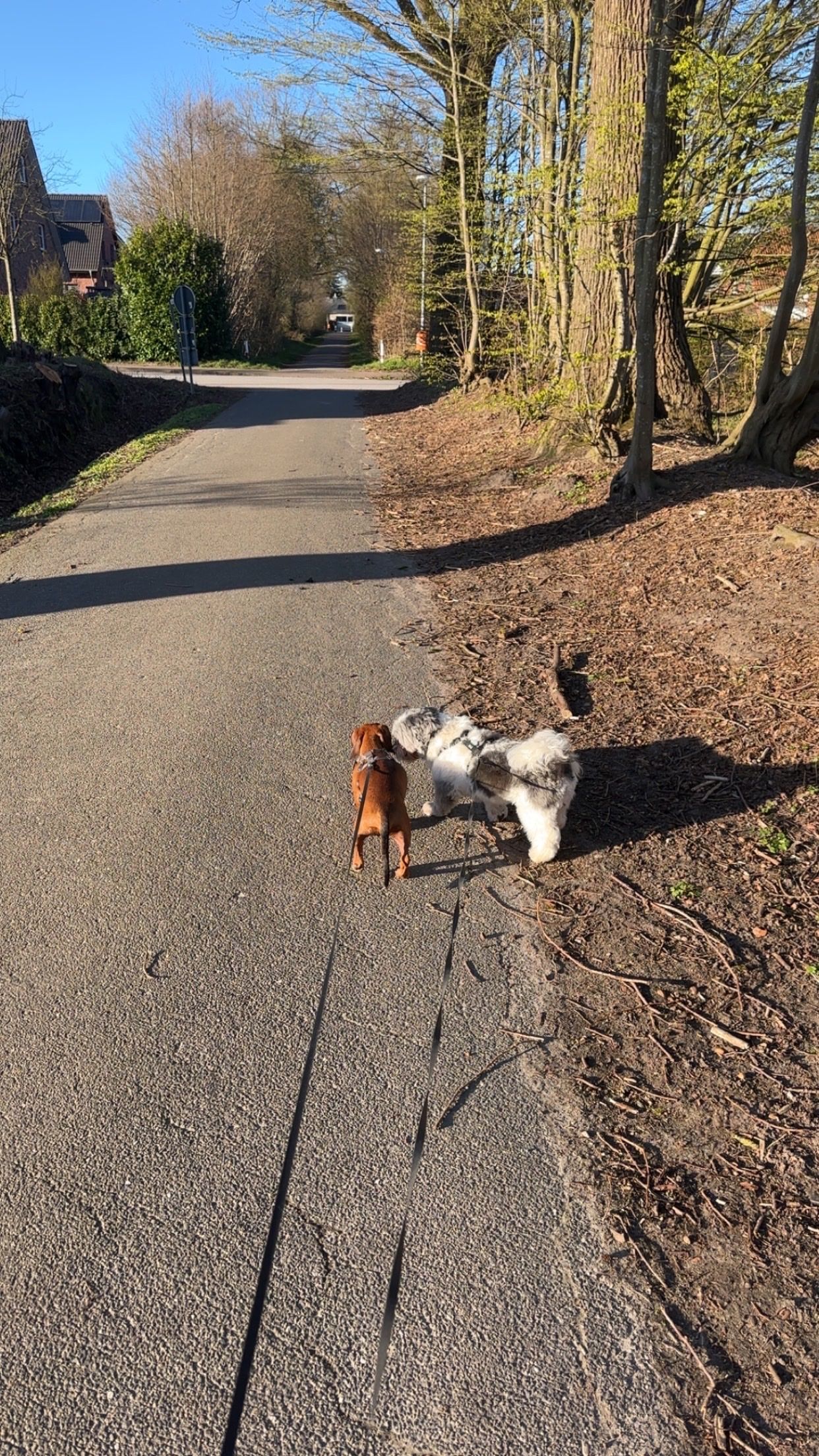 image-28