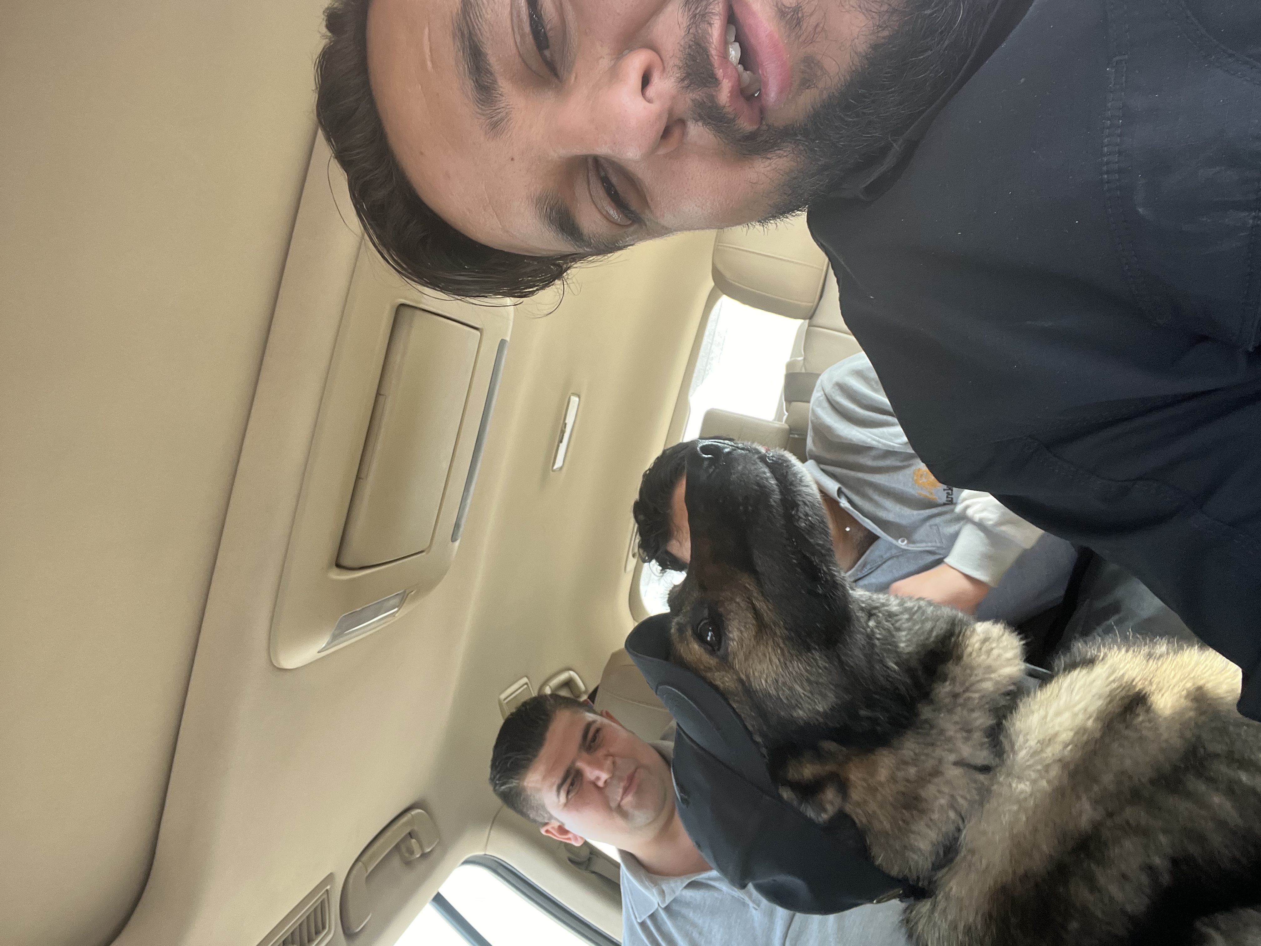 image-7