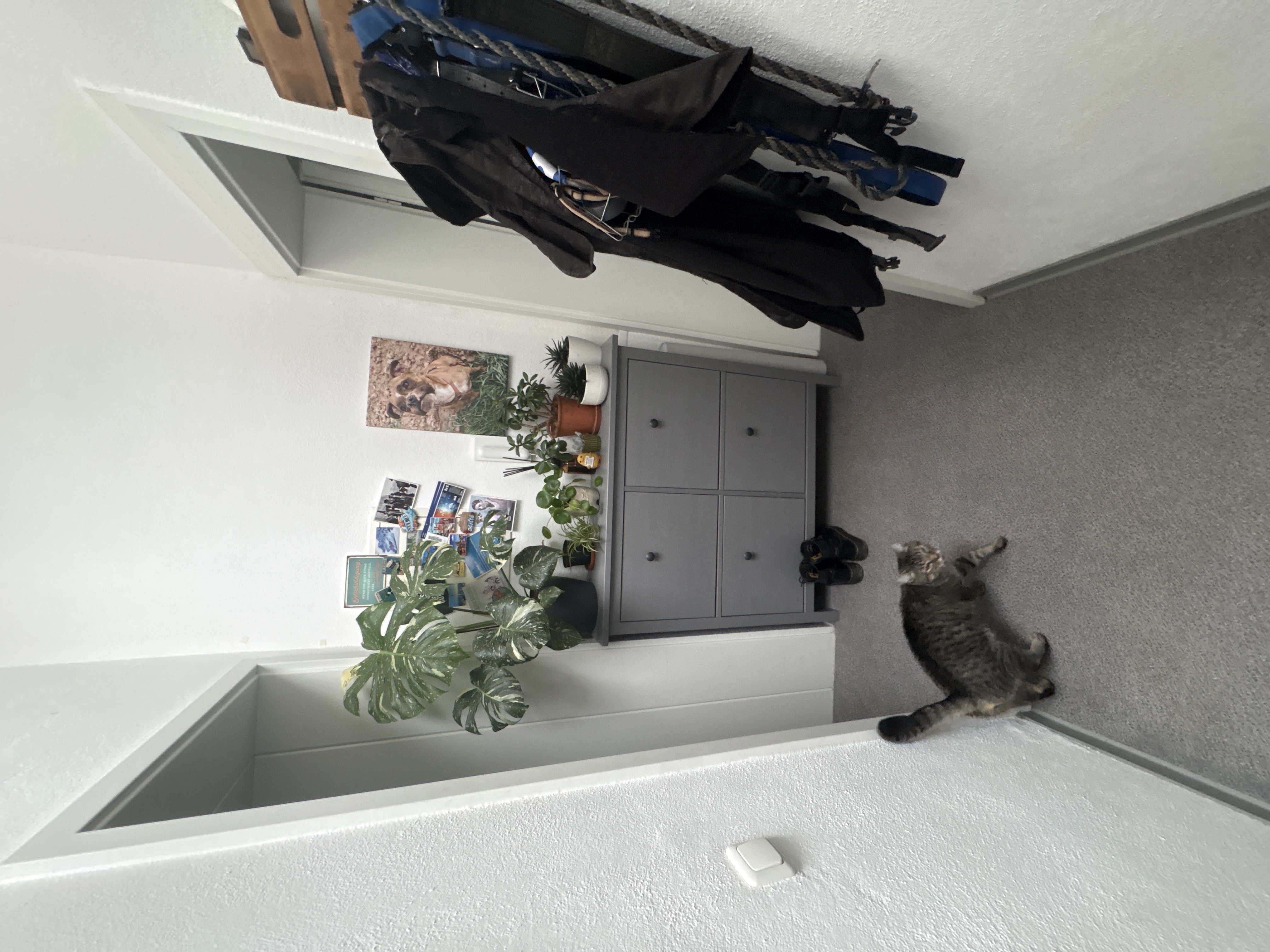 image-19