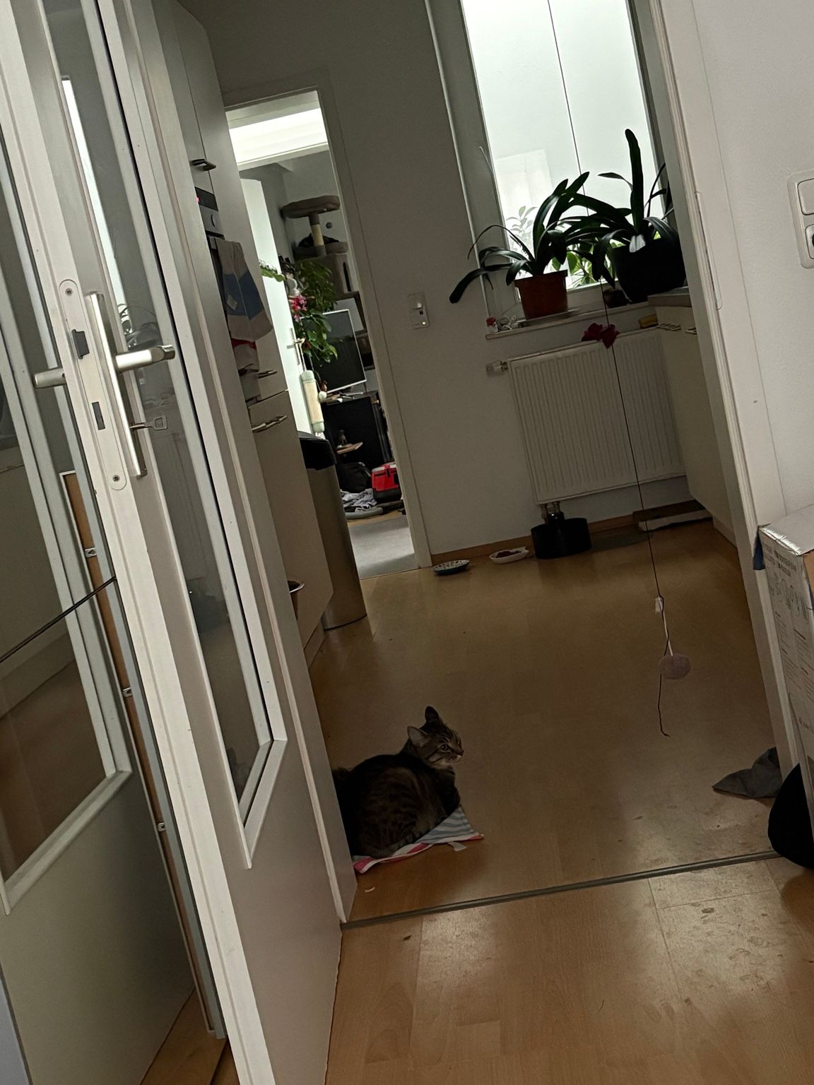image-14
