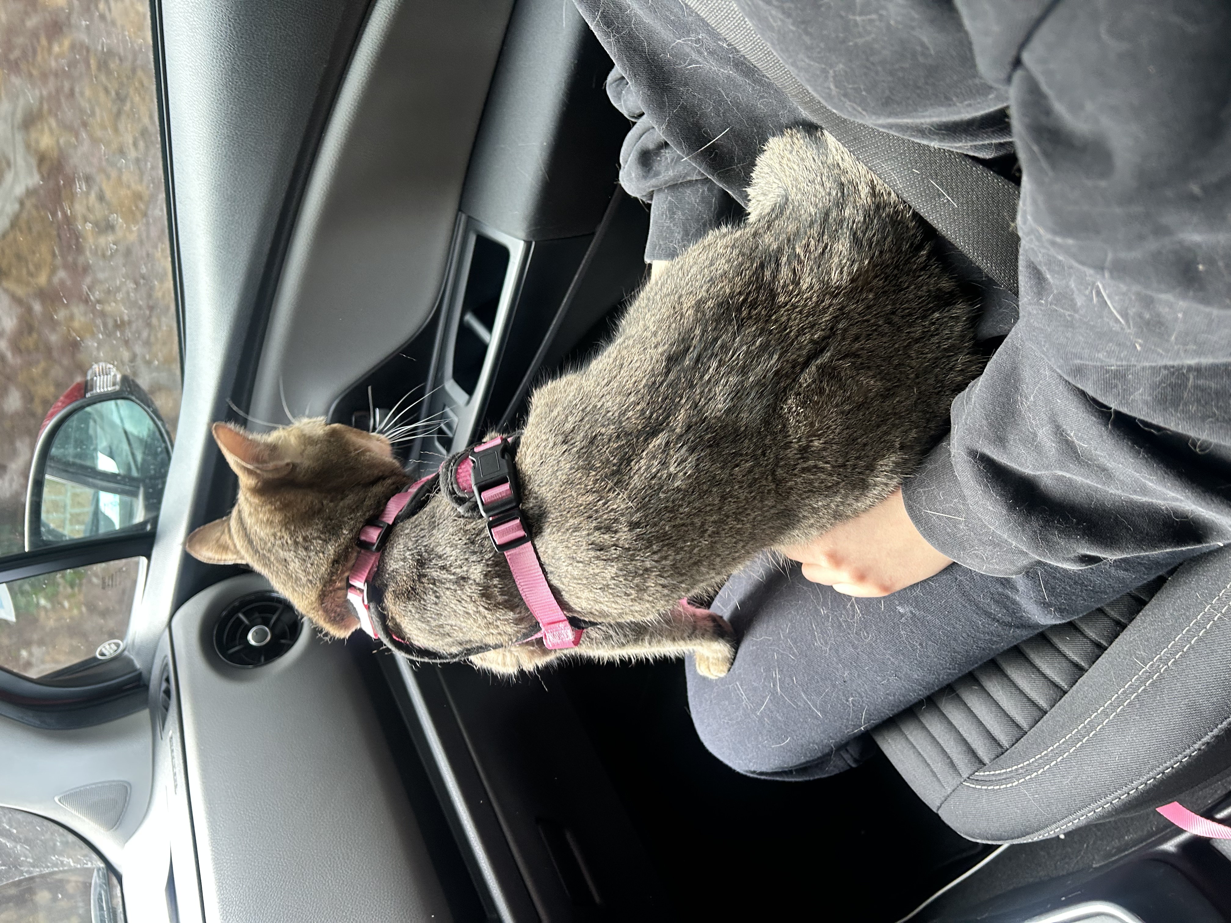 image-6