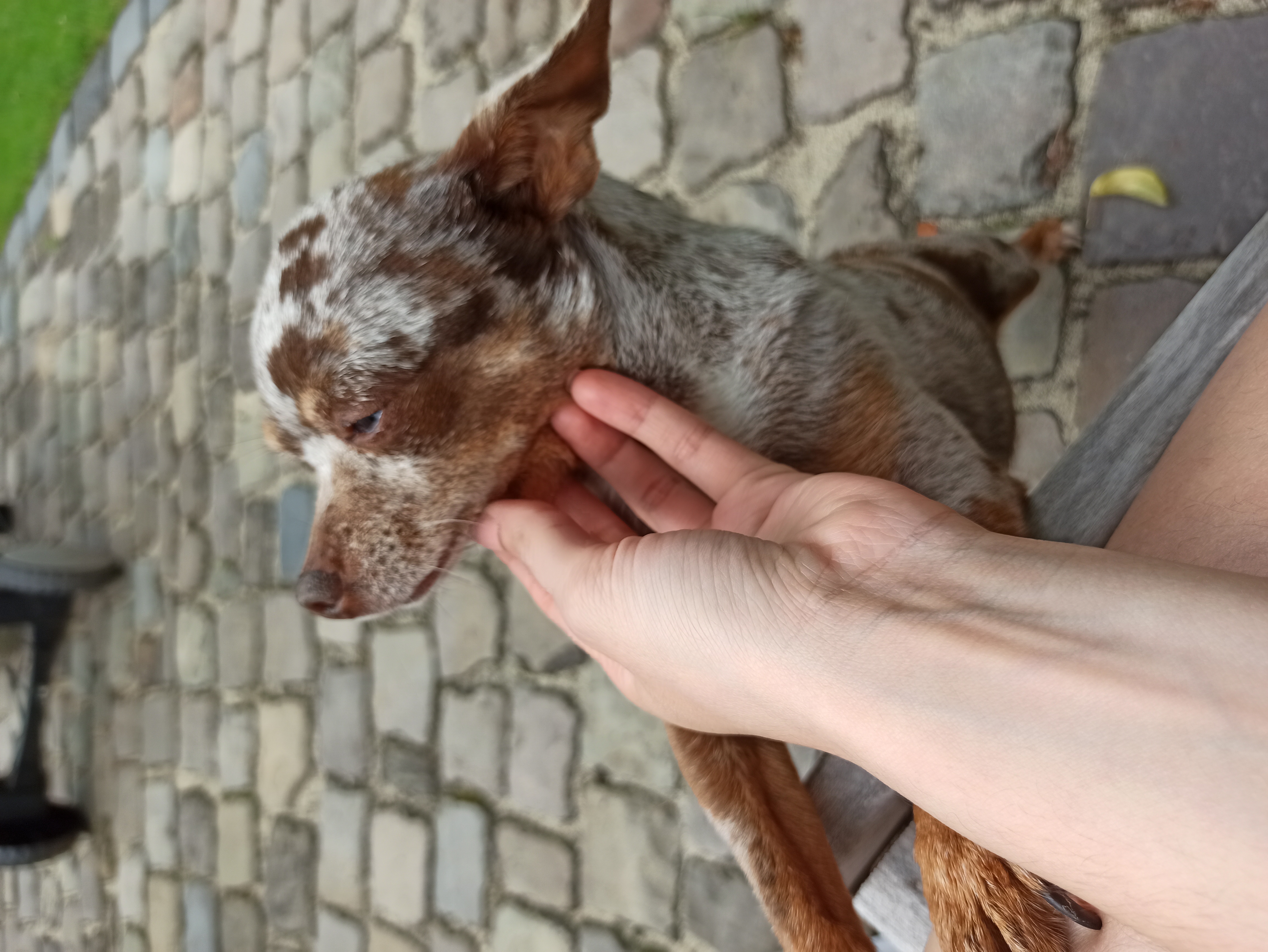 image-7