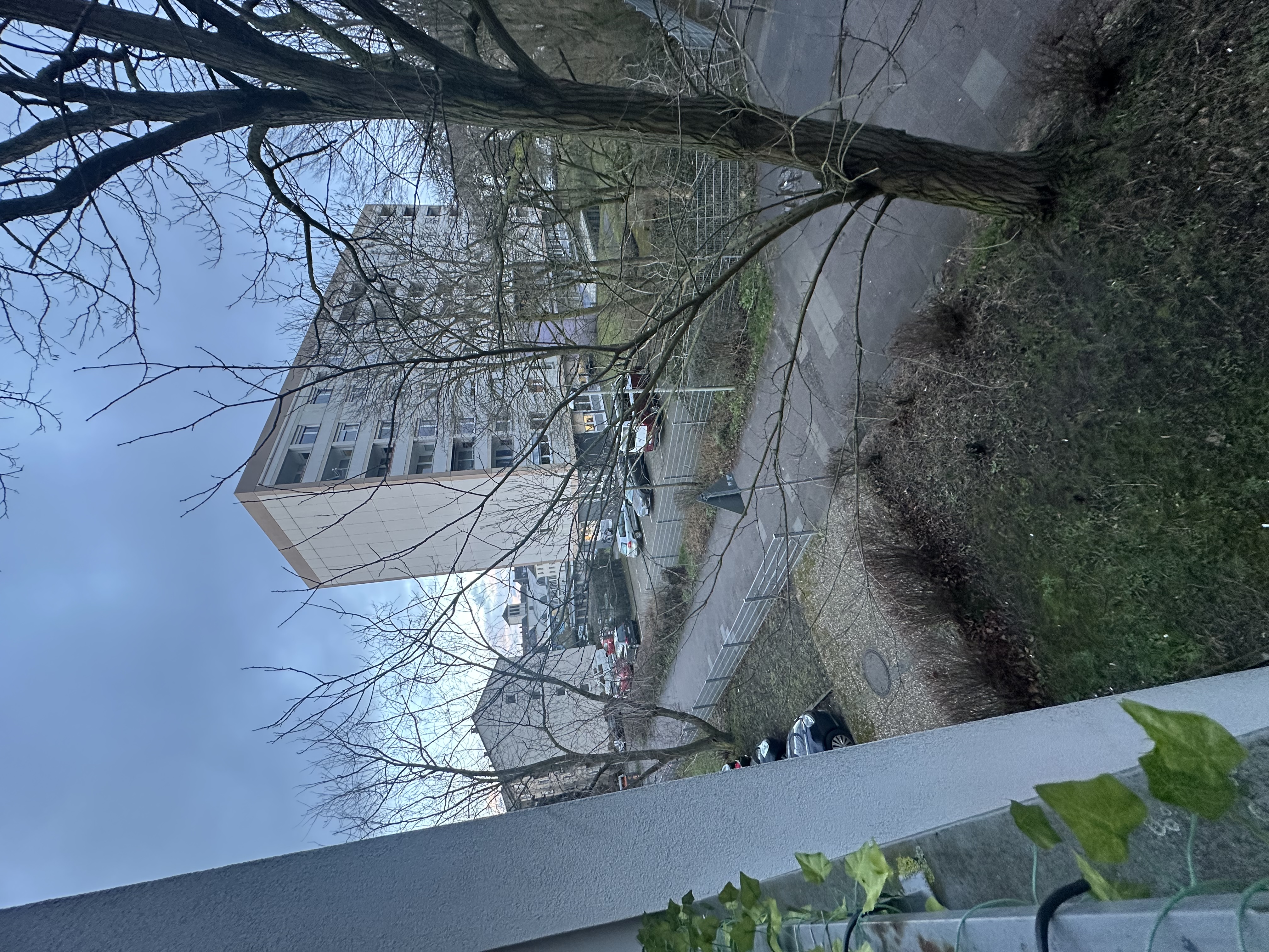 image-14