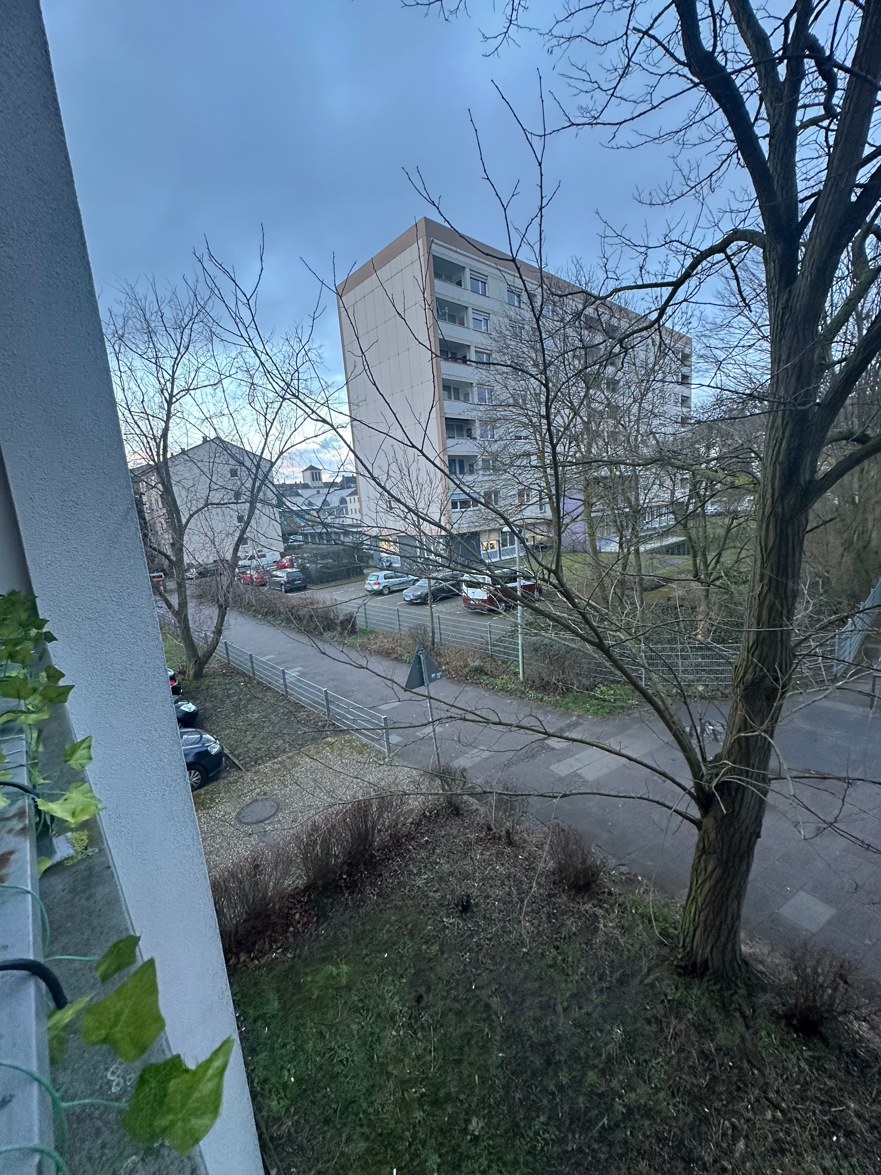 image-14