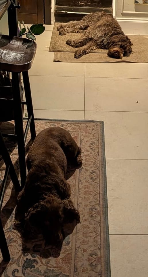 image-23
