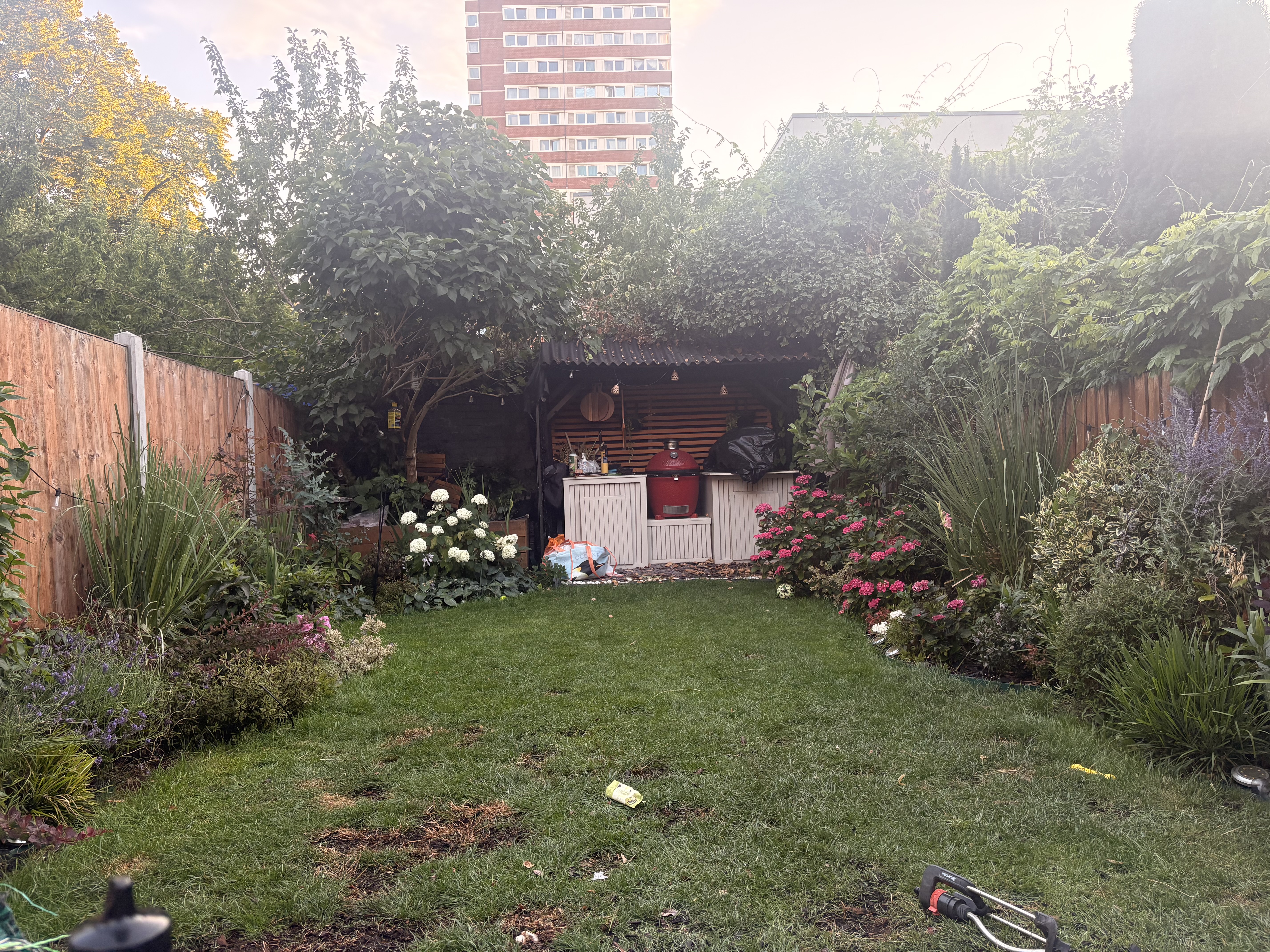 image-18
