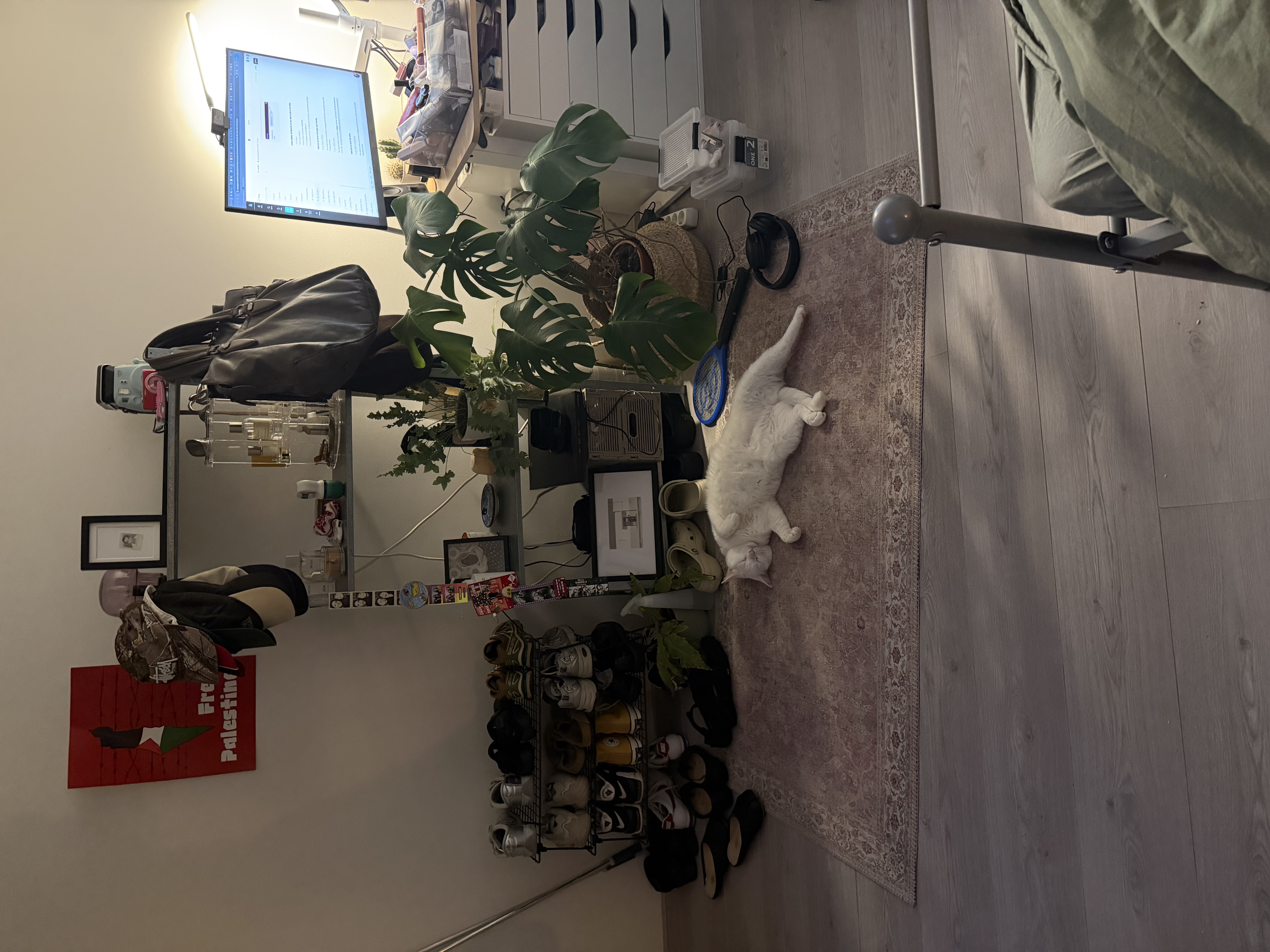 image-7