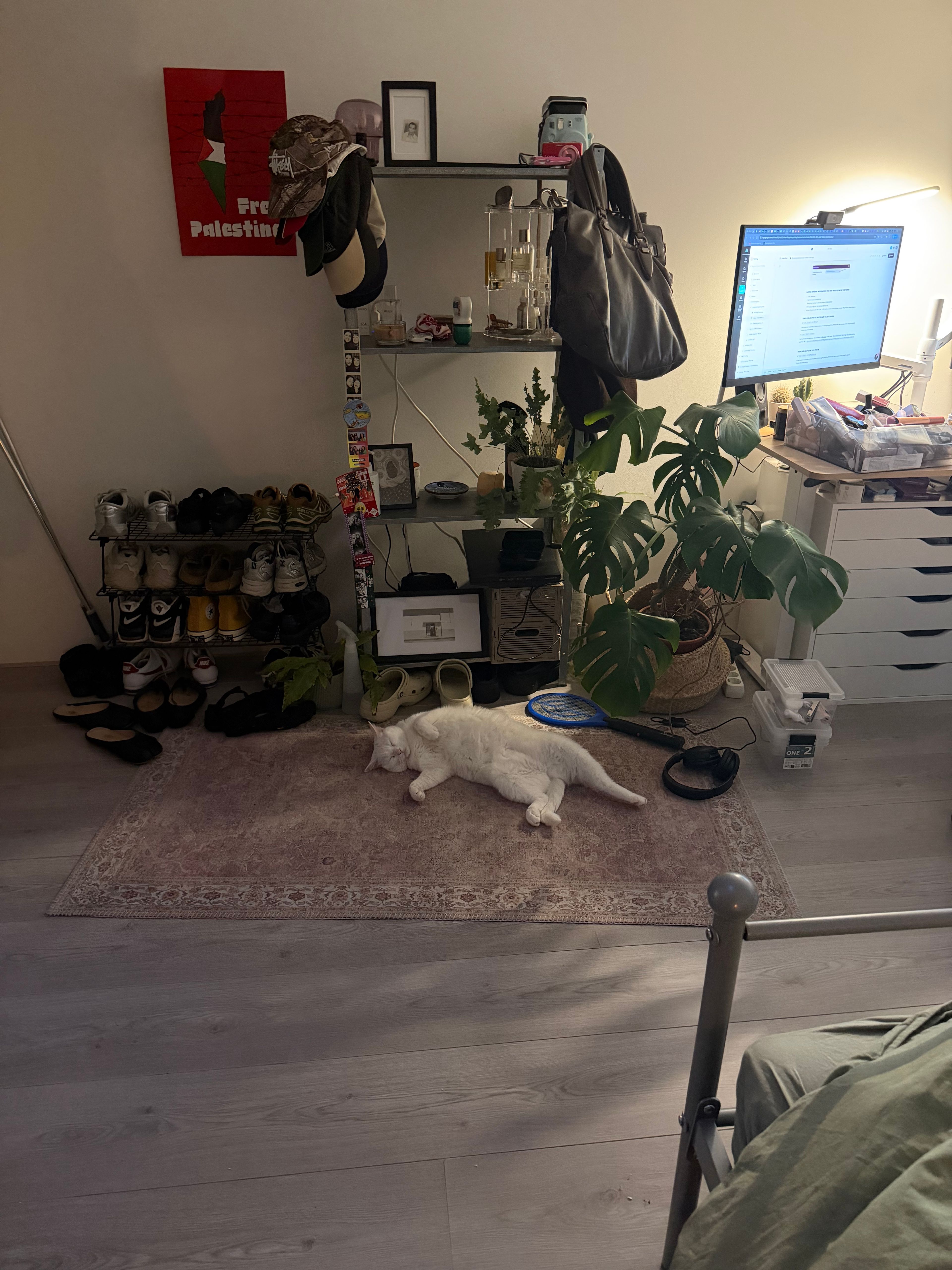 image-7