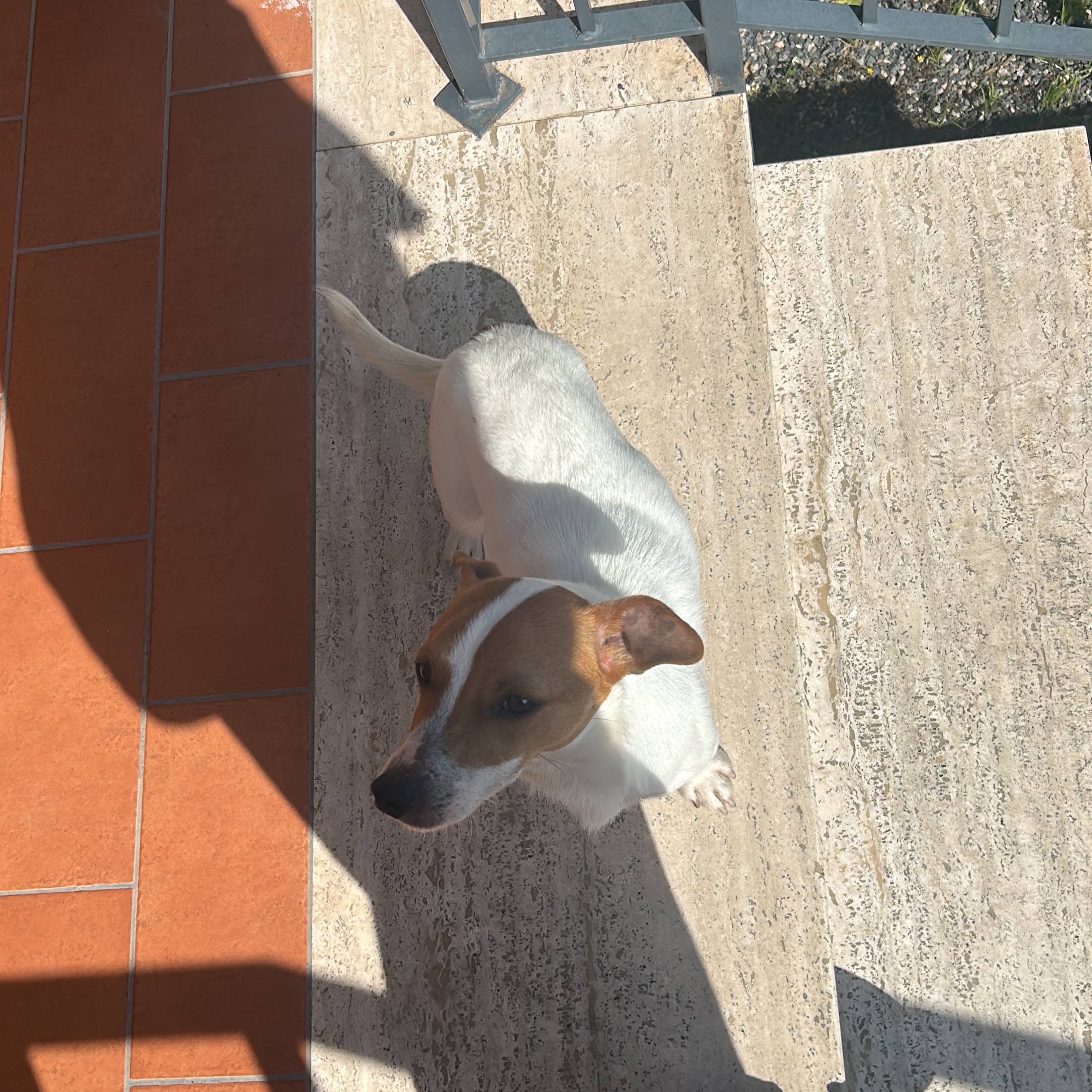 Coco