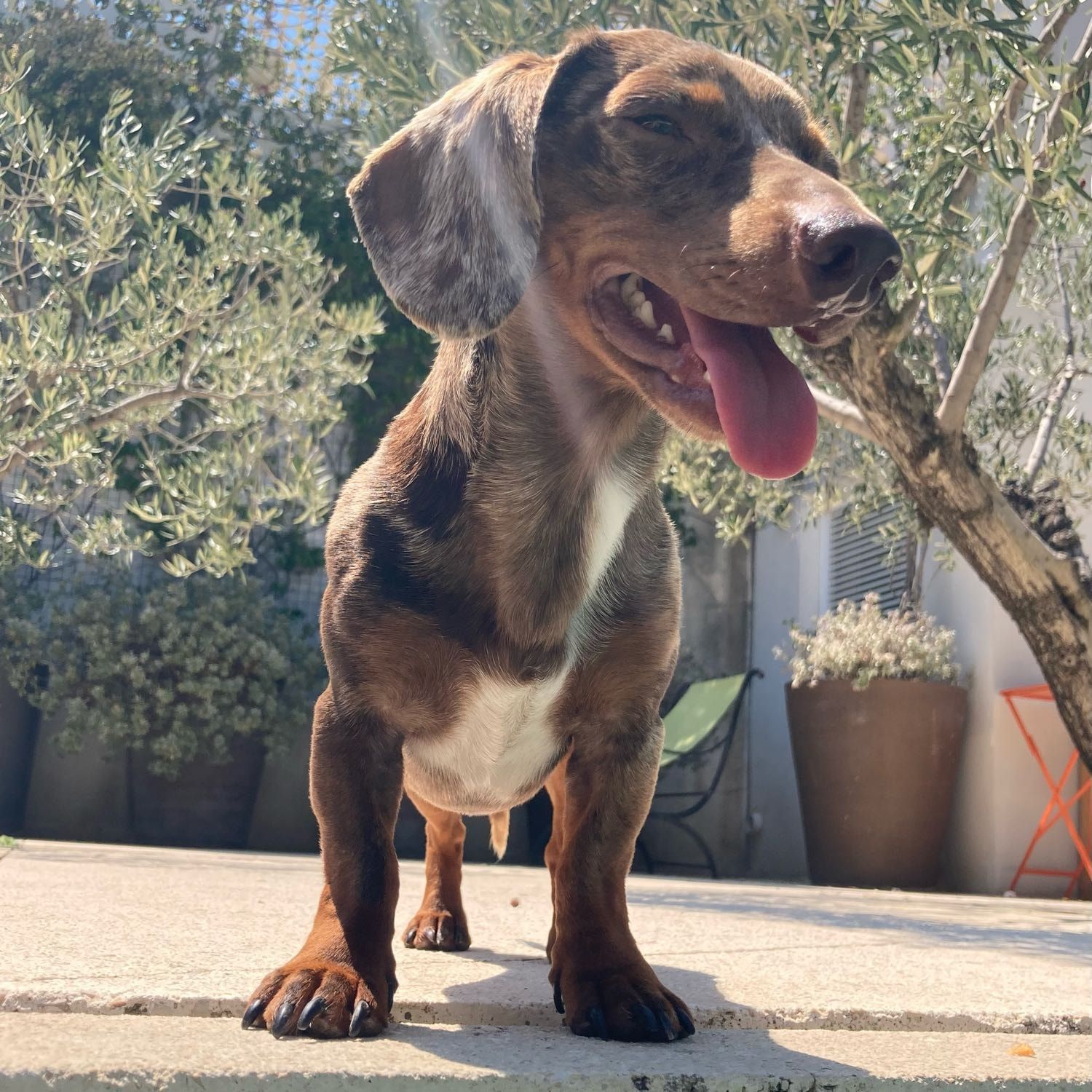 BO