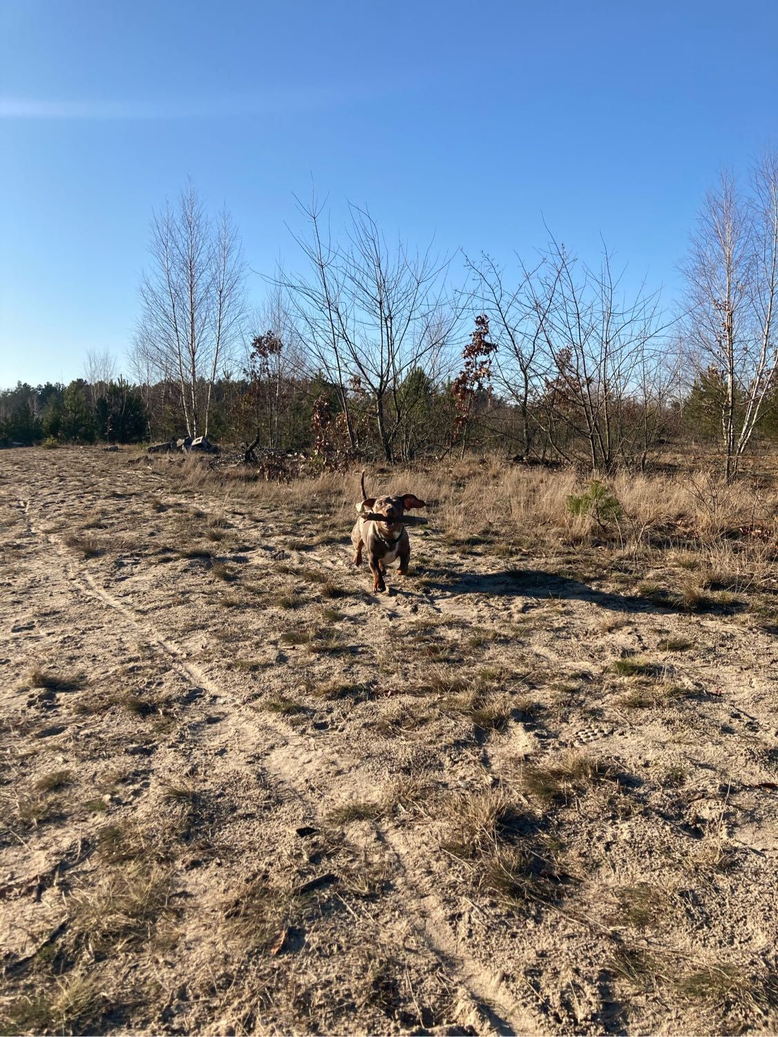 image-7