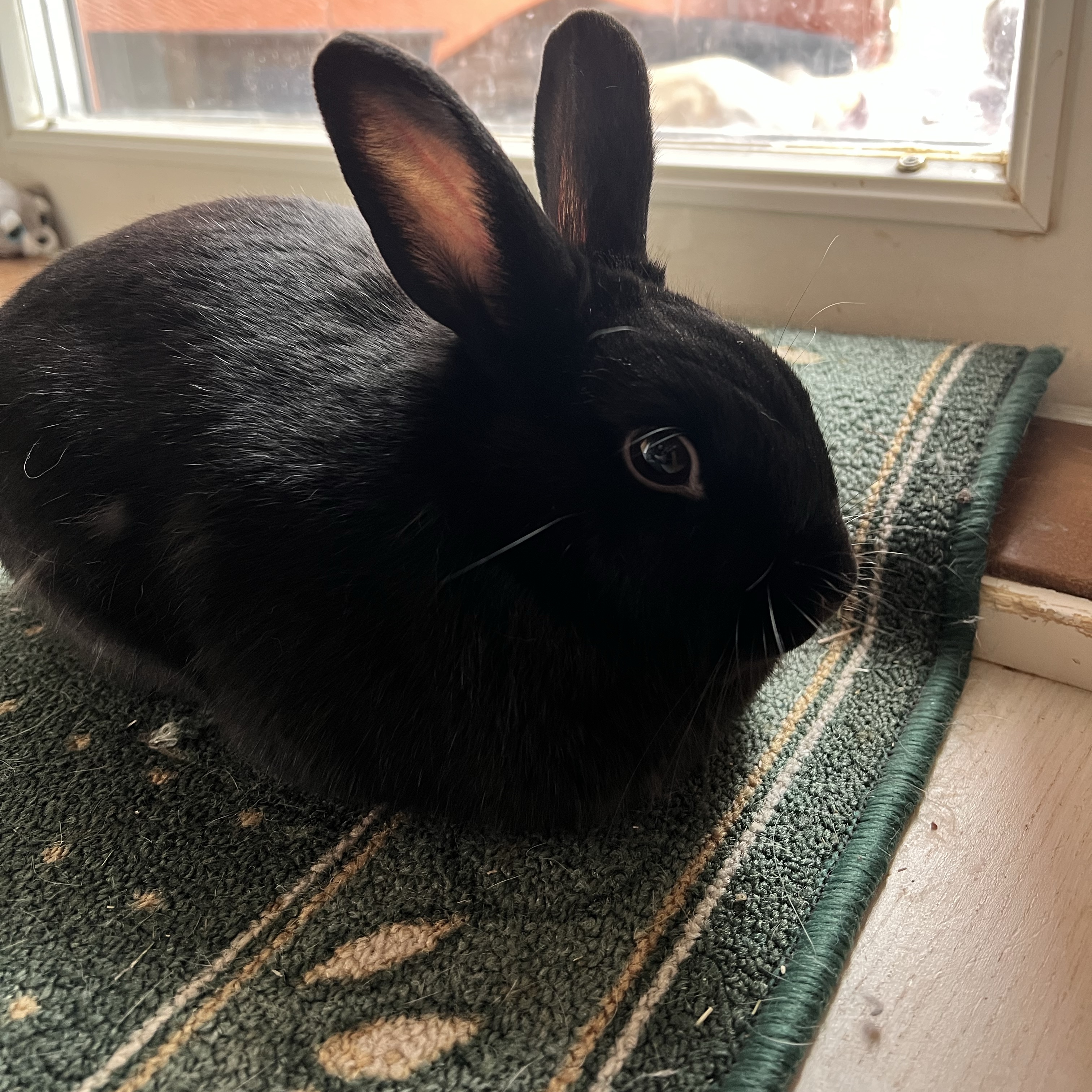 Django
