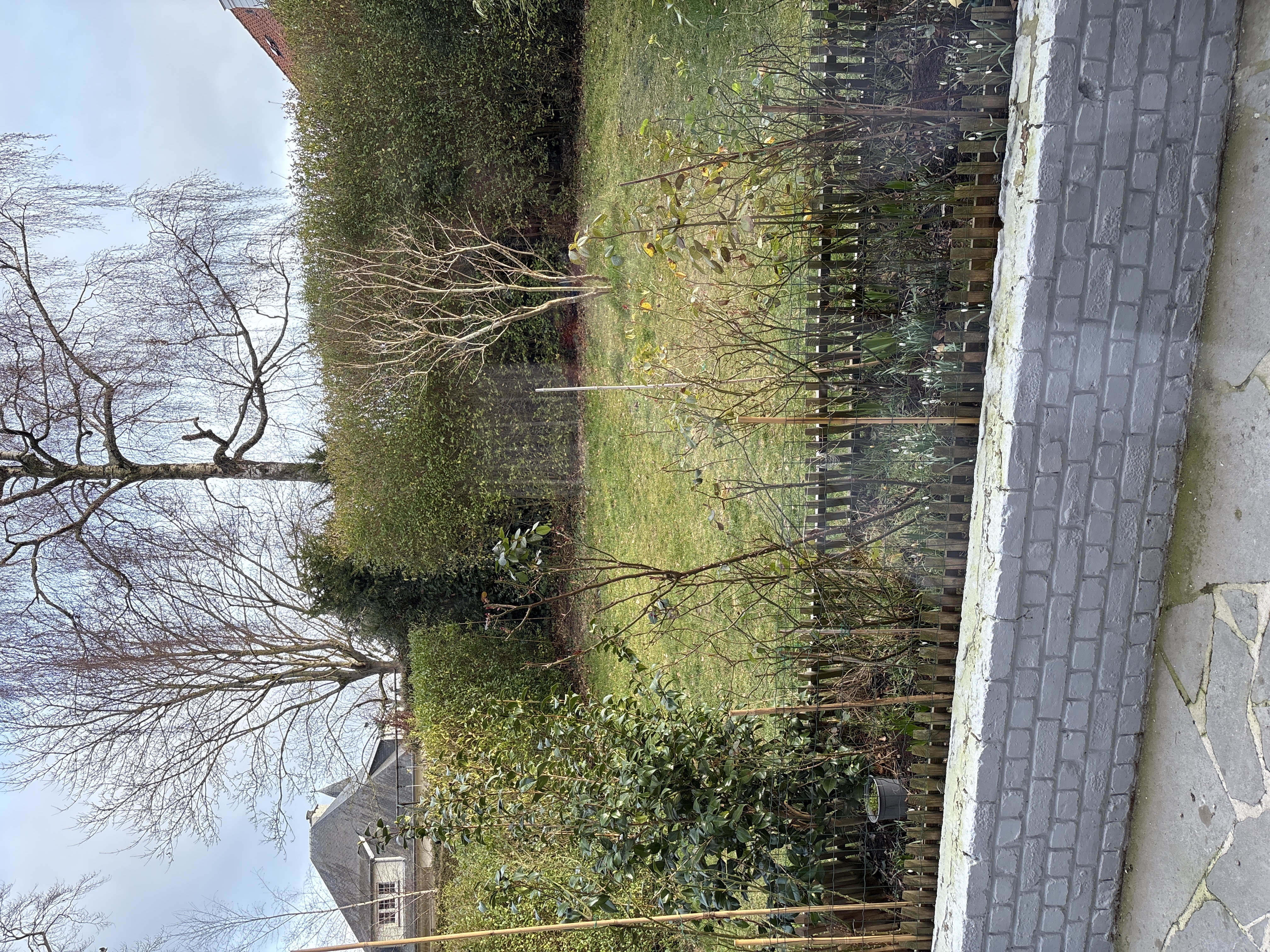 image-7