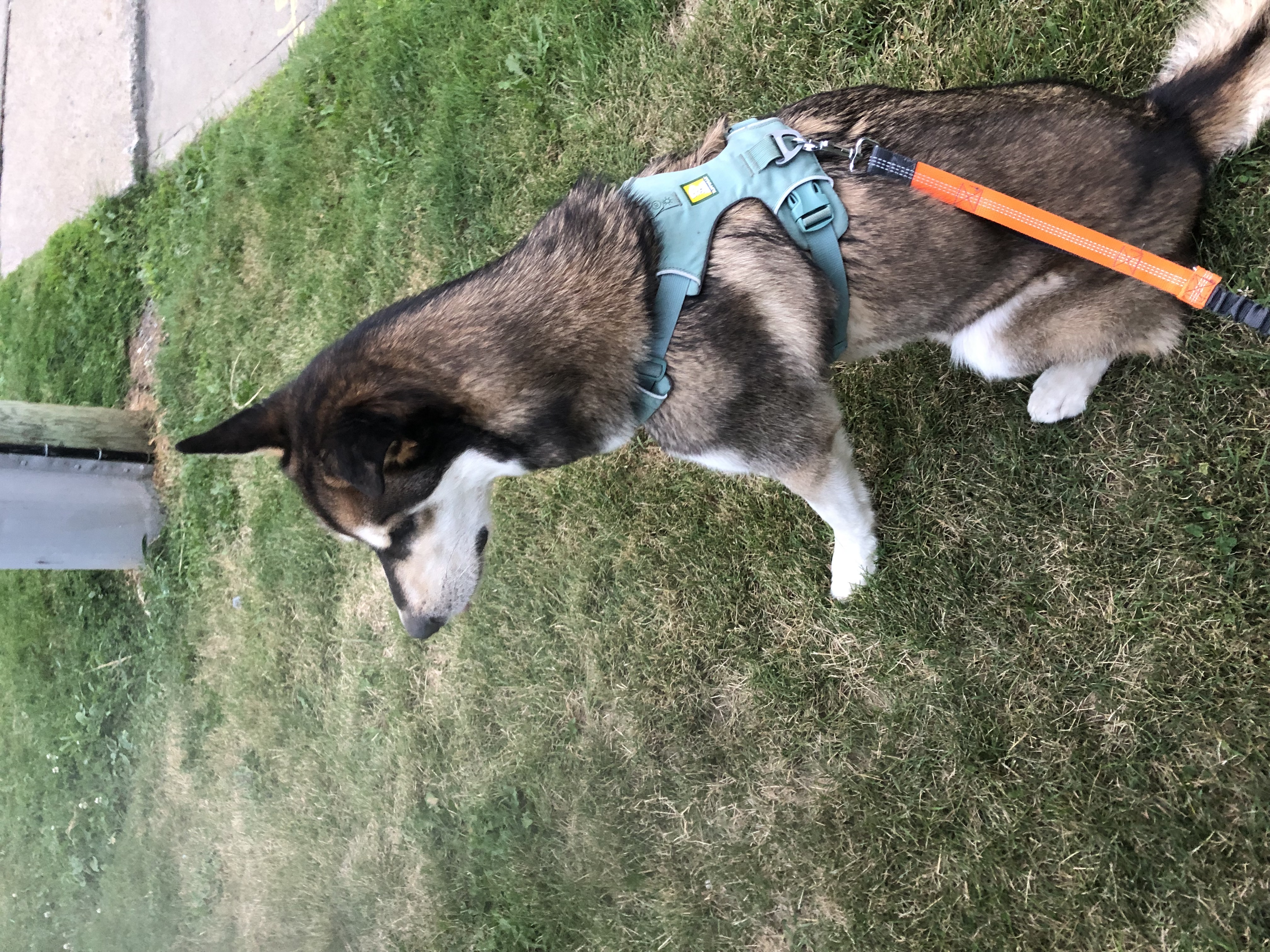 image-19
