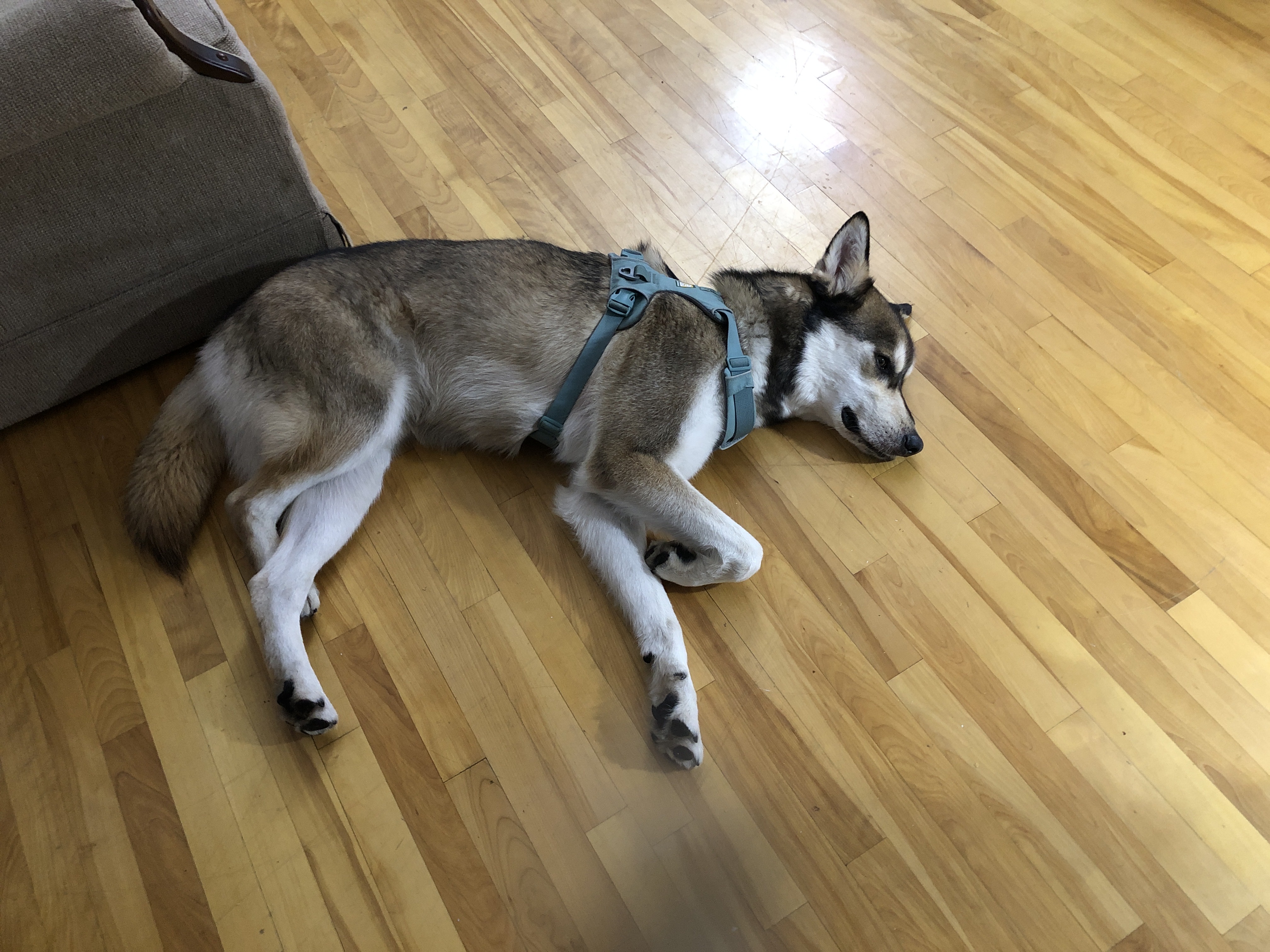 image-27