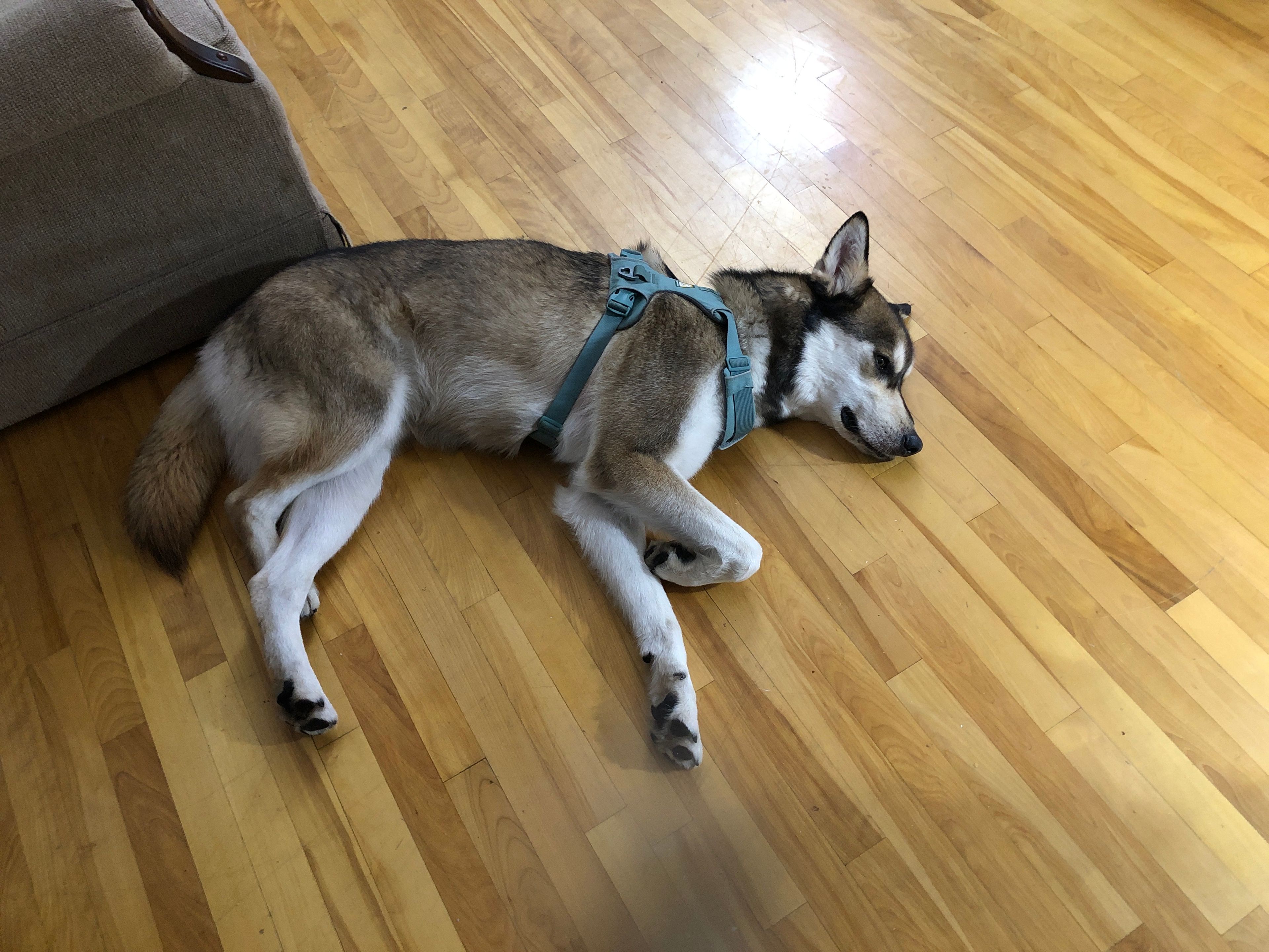 image-27