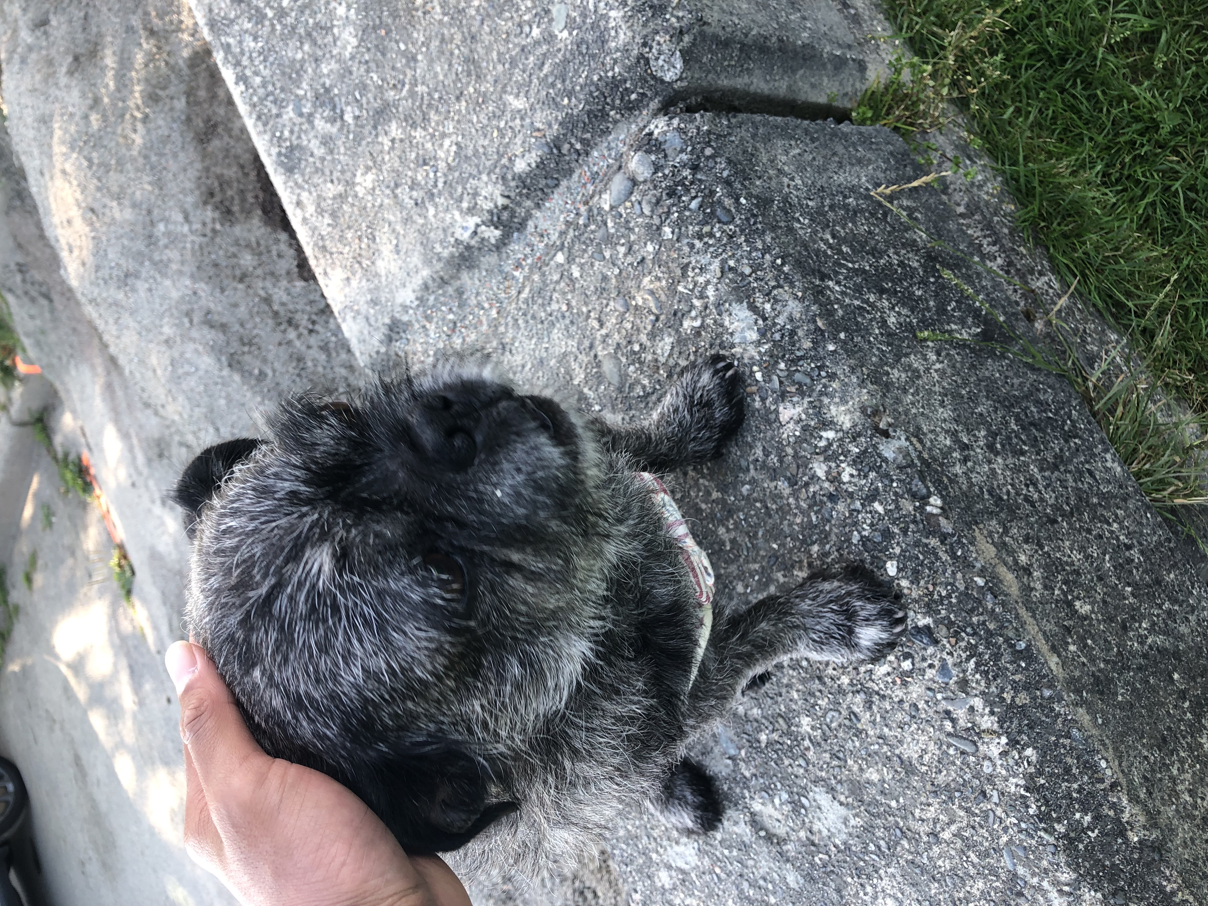image-9