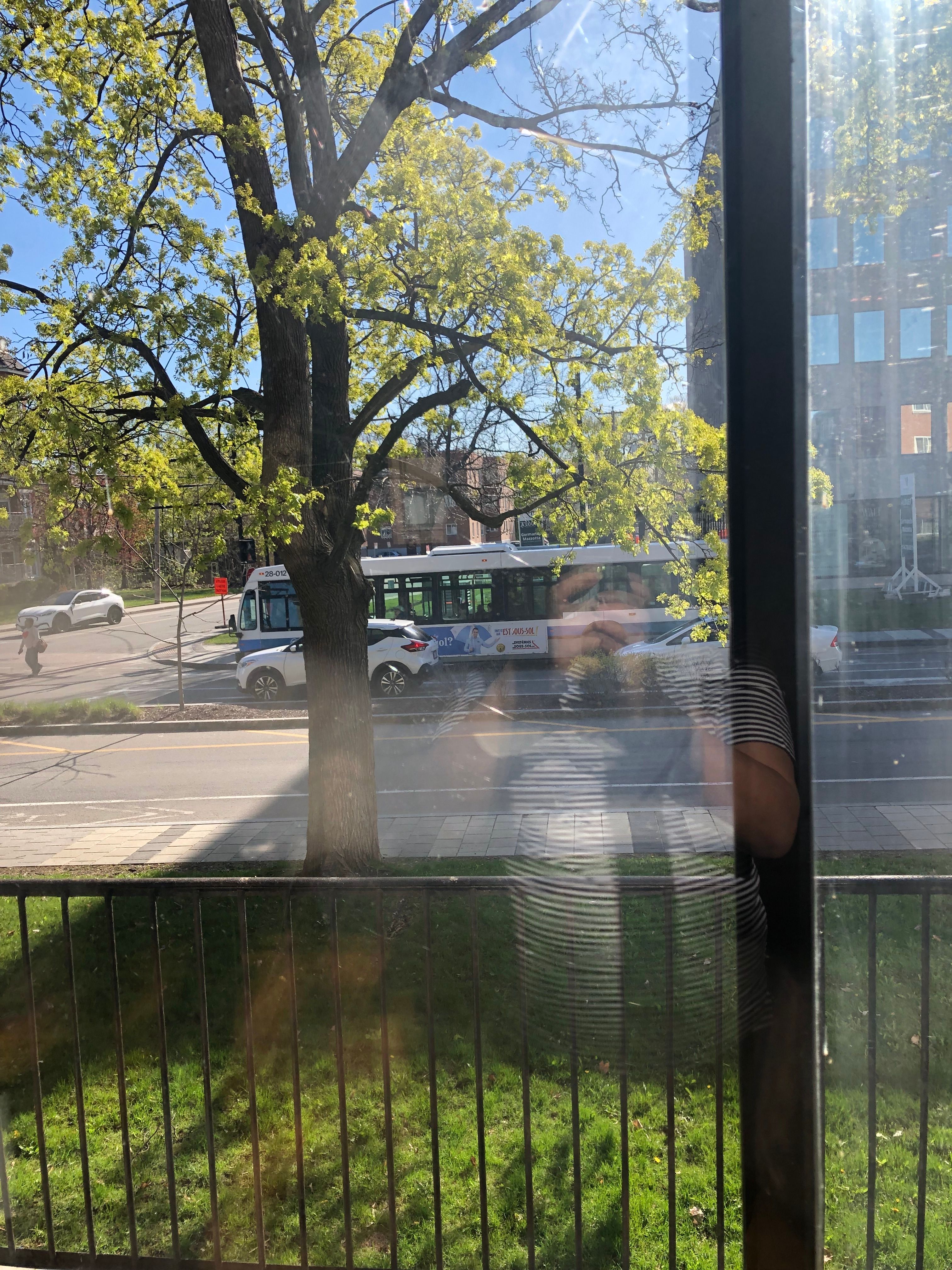 image-23
