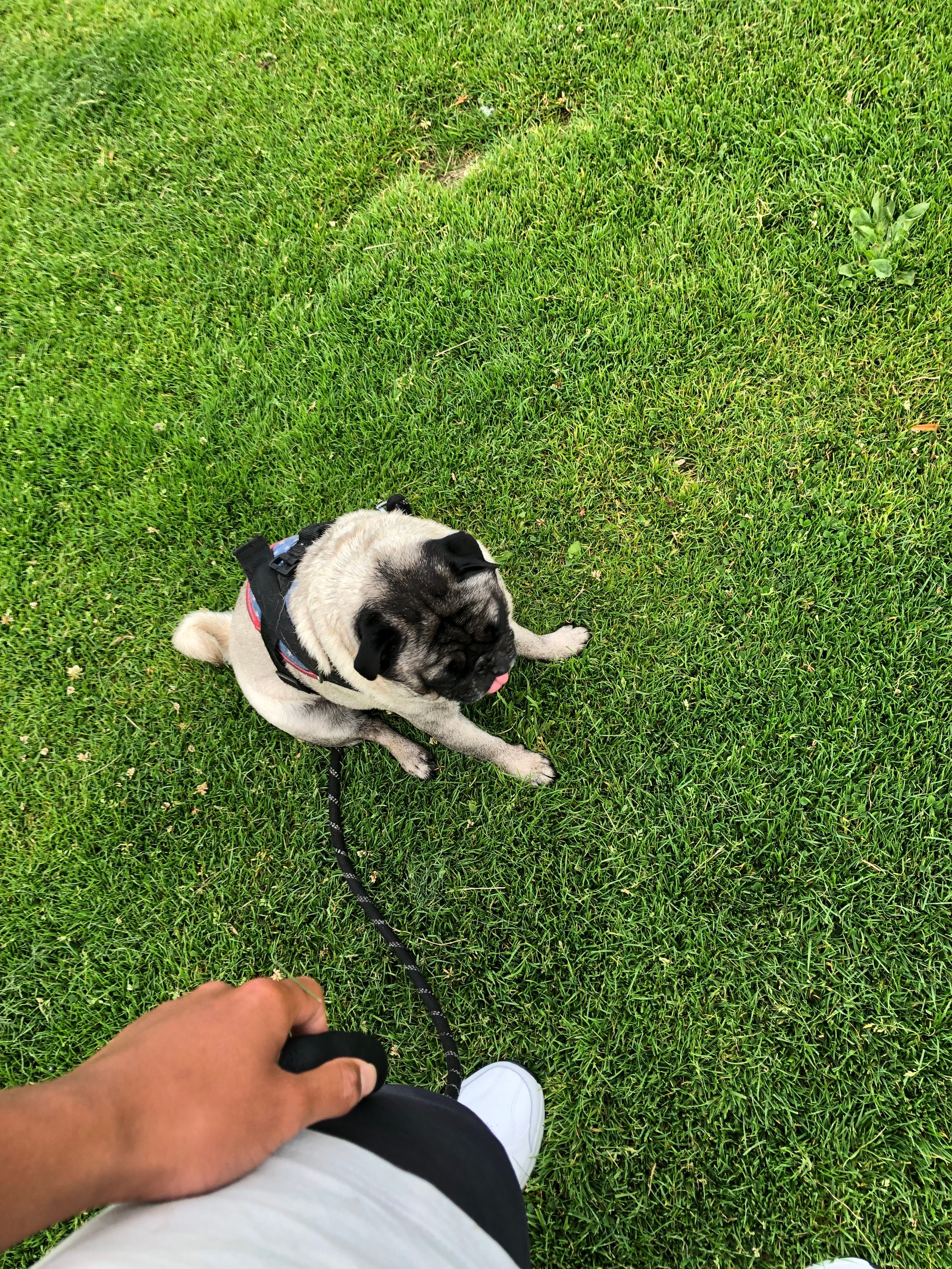 image-10